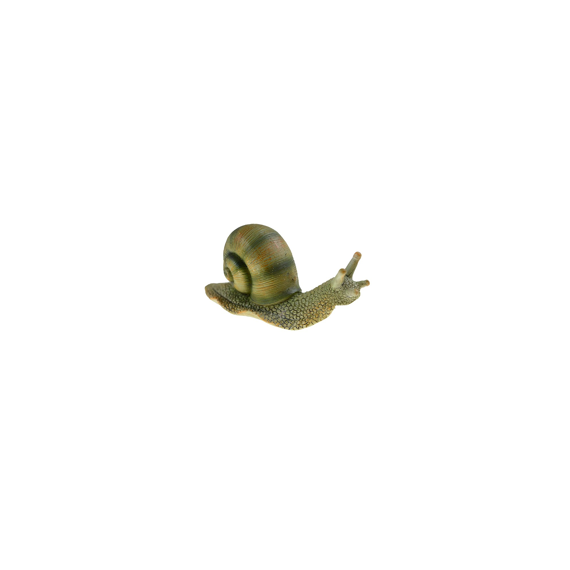 Csiga poly 3.5cm zöld