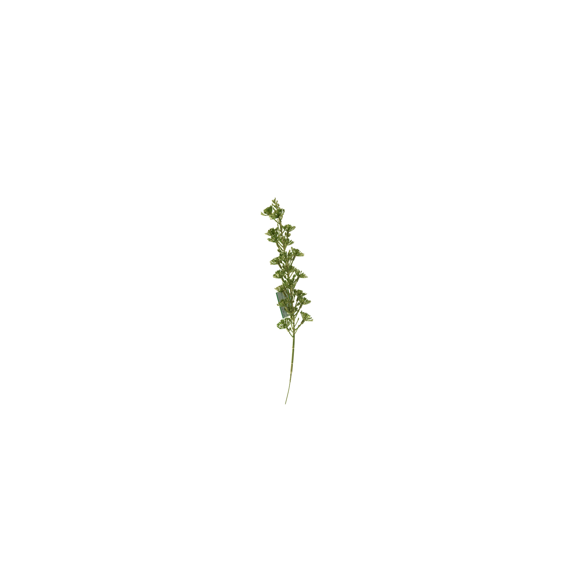 Dekorág 50cm zöld