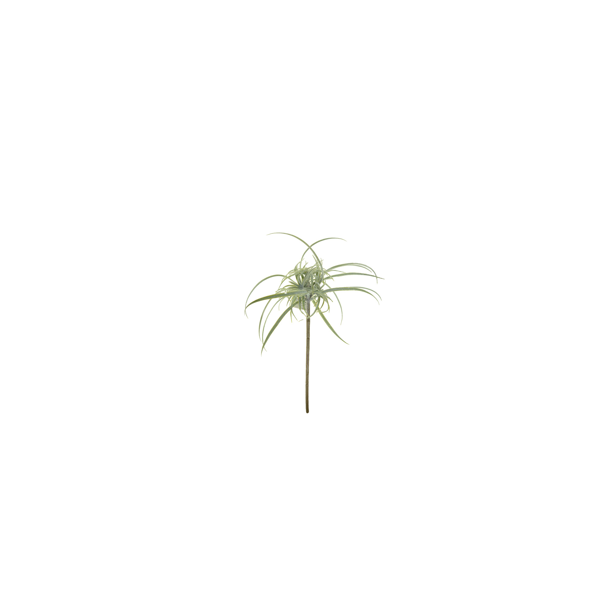 Dekorág tillandsia 53CM zöld