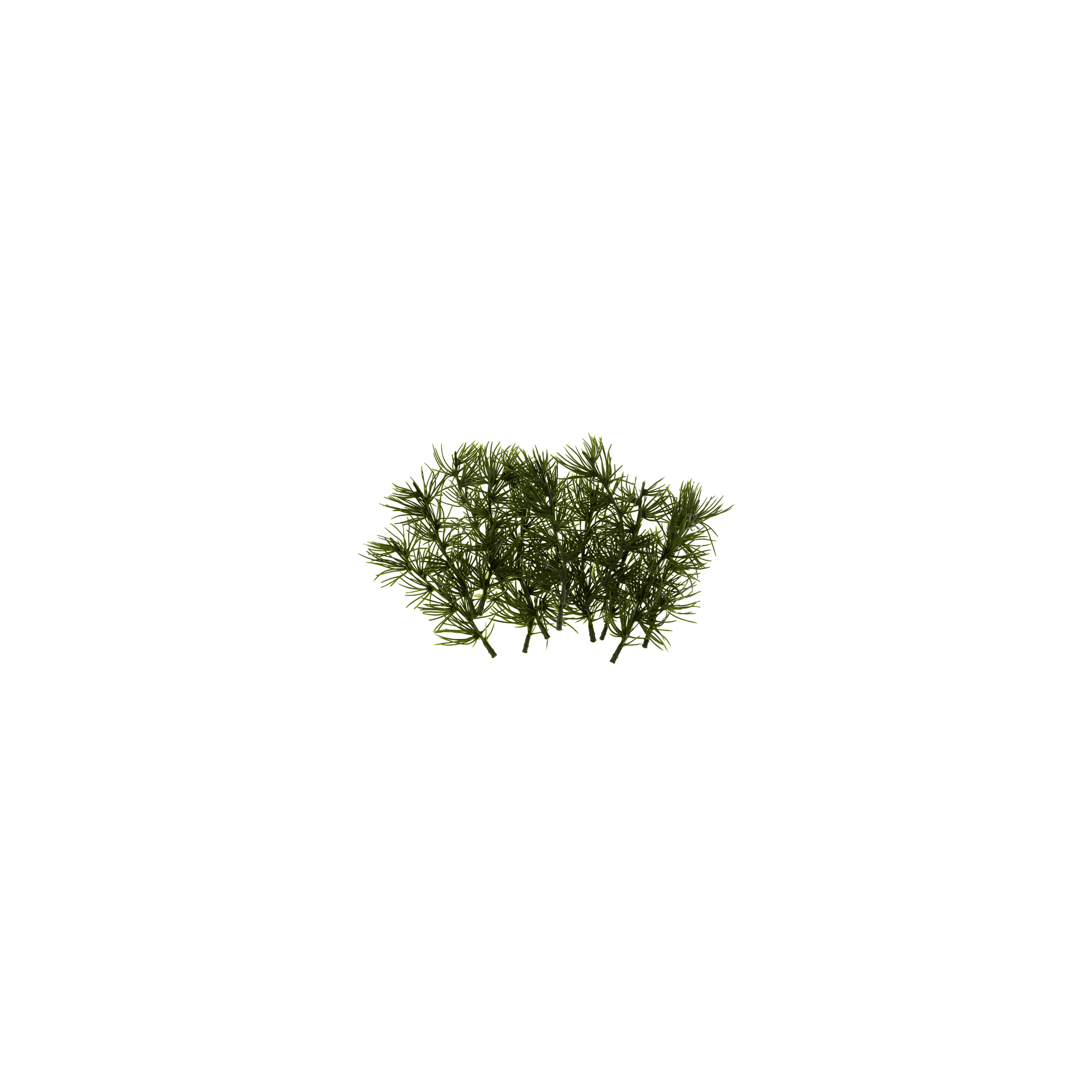 Fenyőág hosszú tűlevél 14 cm S/12 zöld