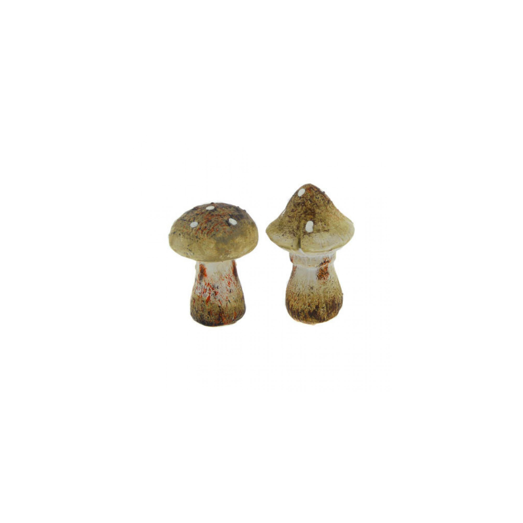 Gomba 6 cm natúr 4féle
