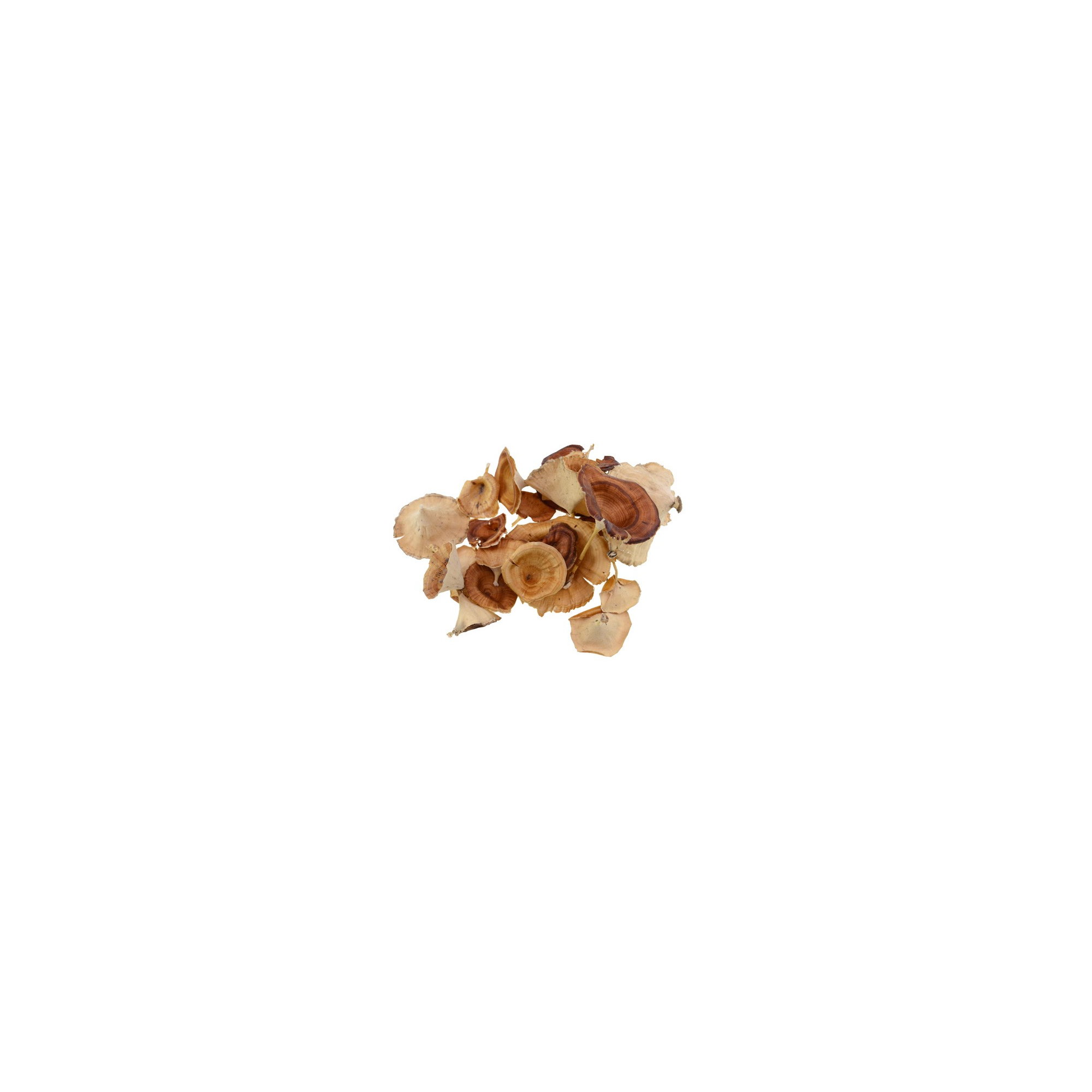 Gomba vegyes krém (0016 3 203101633)