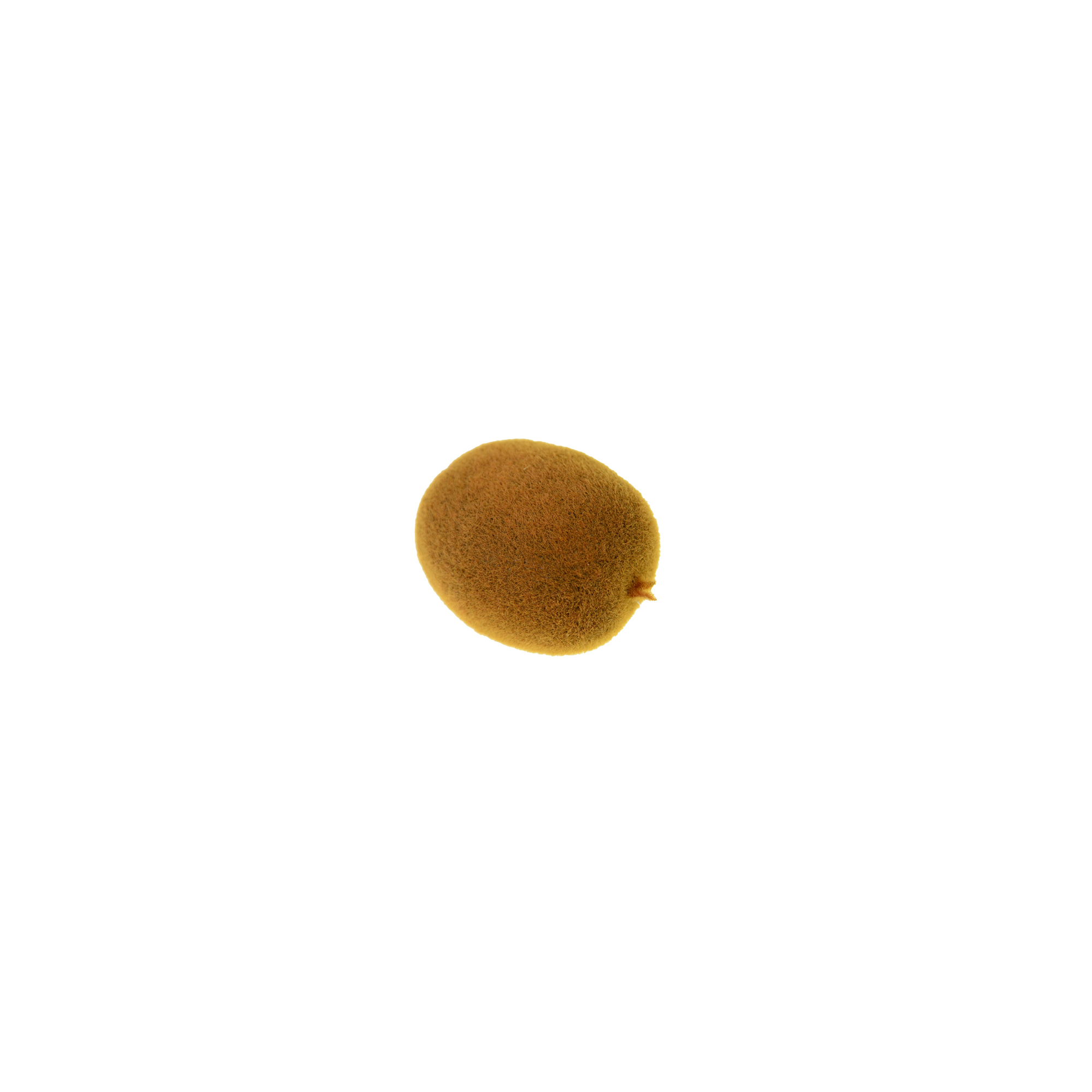 Gyümölcs kivi foam 7.5*6.5*5cm barna