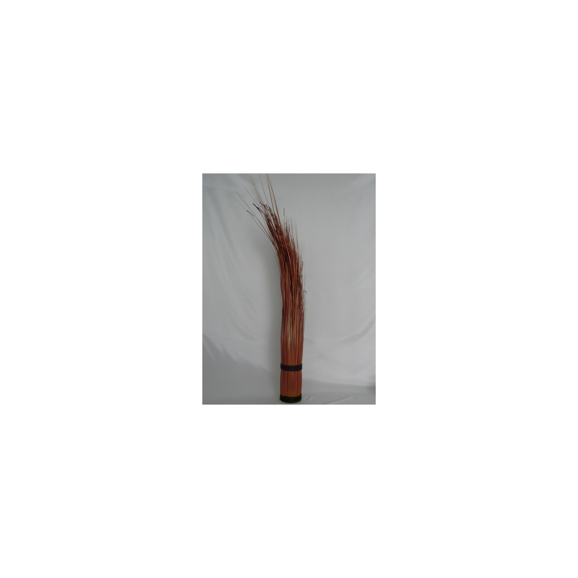 Isolepsis Autumn 105cm