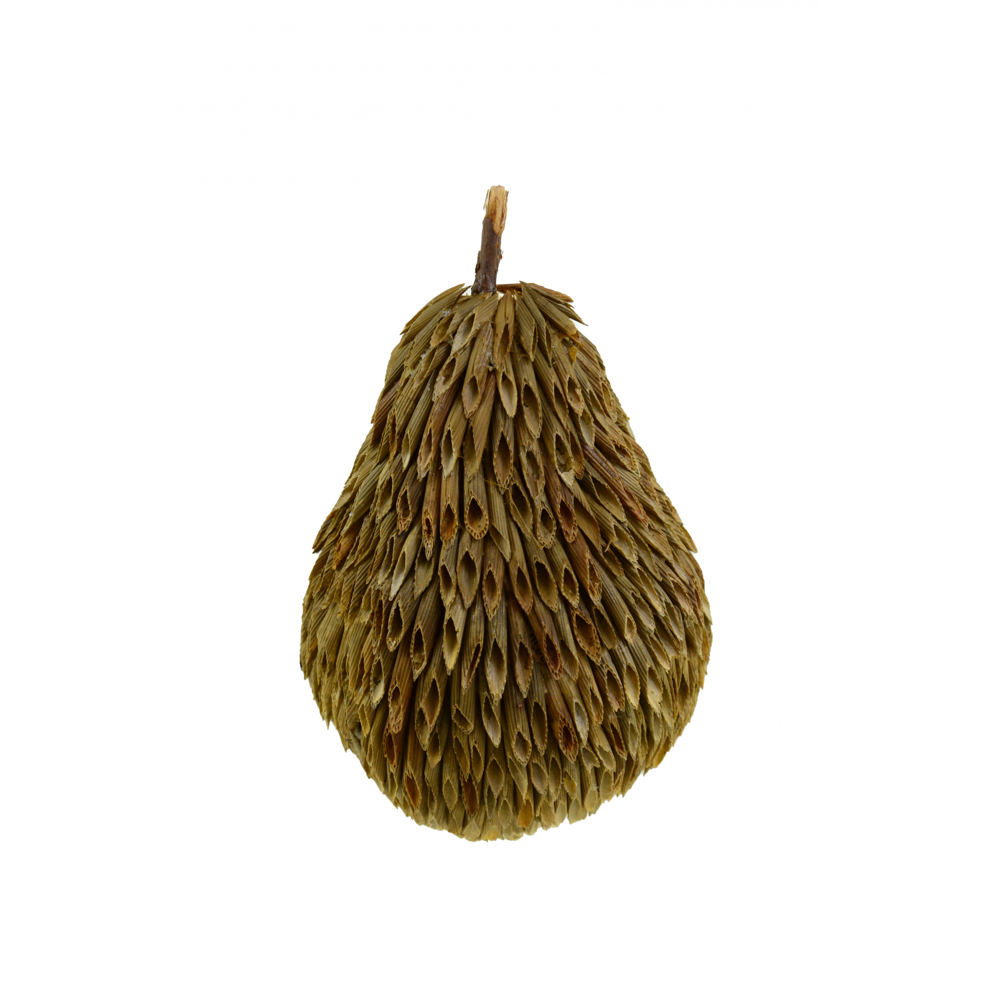 Körte fű 10*15cm natúr Zmrst