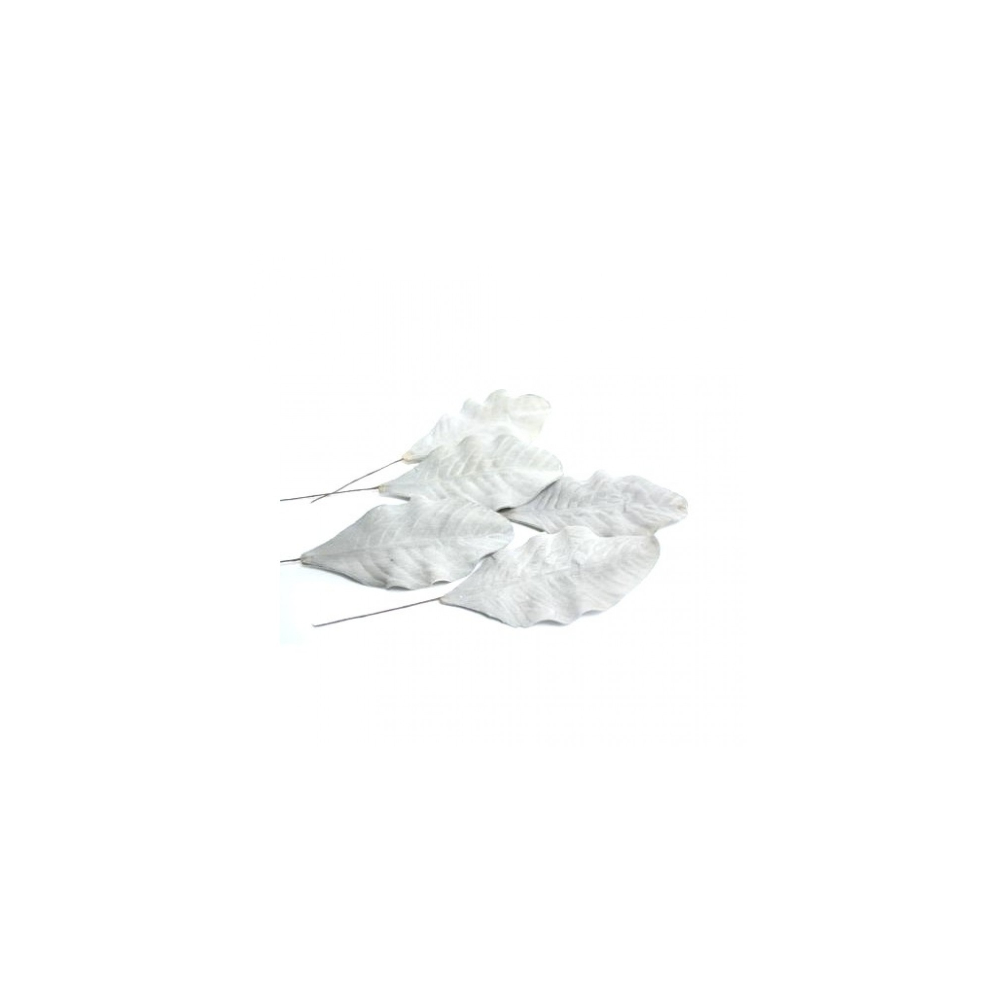Levél 30cm s/5 fehér