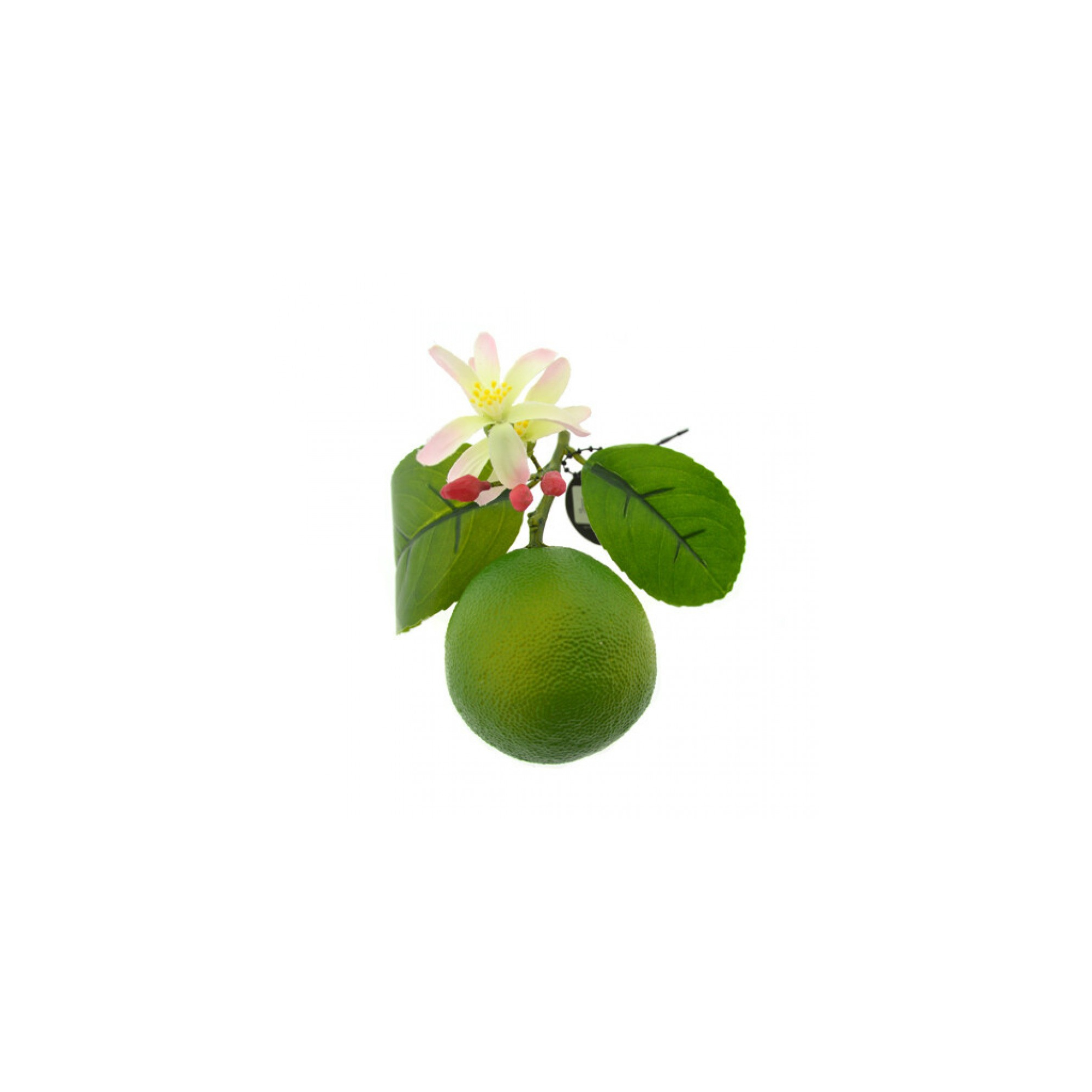 Lime műa. 10 cm zöld