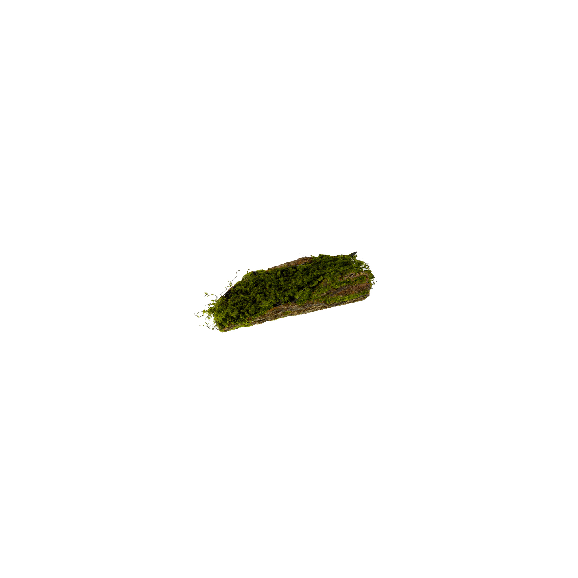 Fatörzs mohás 35cm zöld