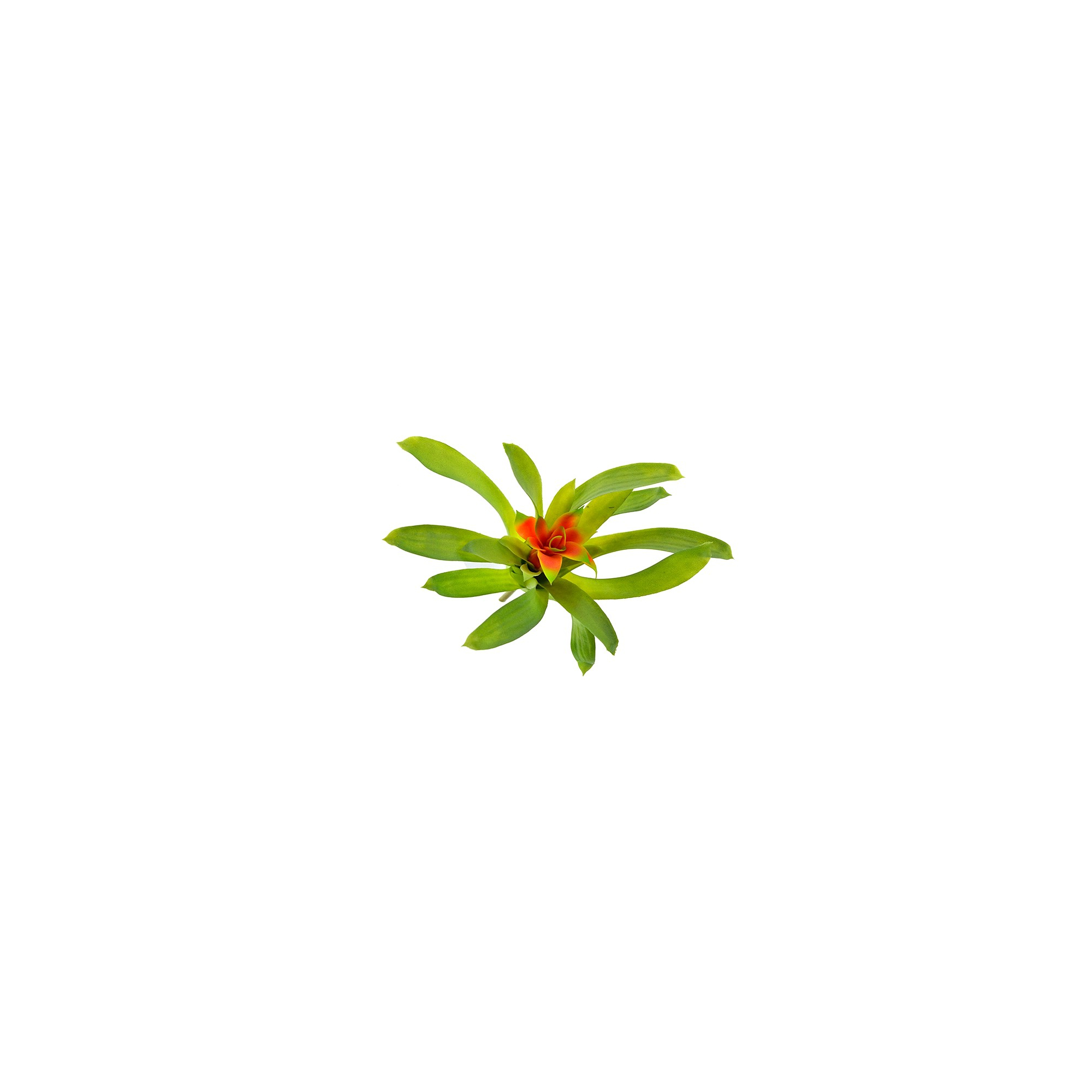 Műnövény guzmania 28cm zöld