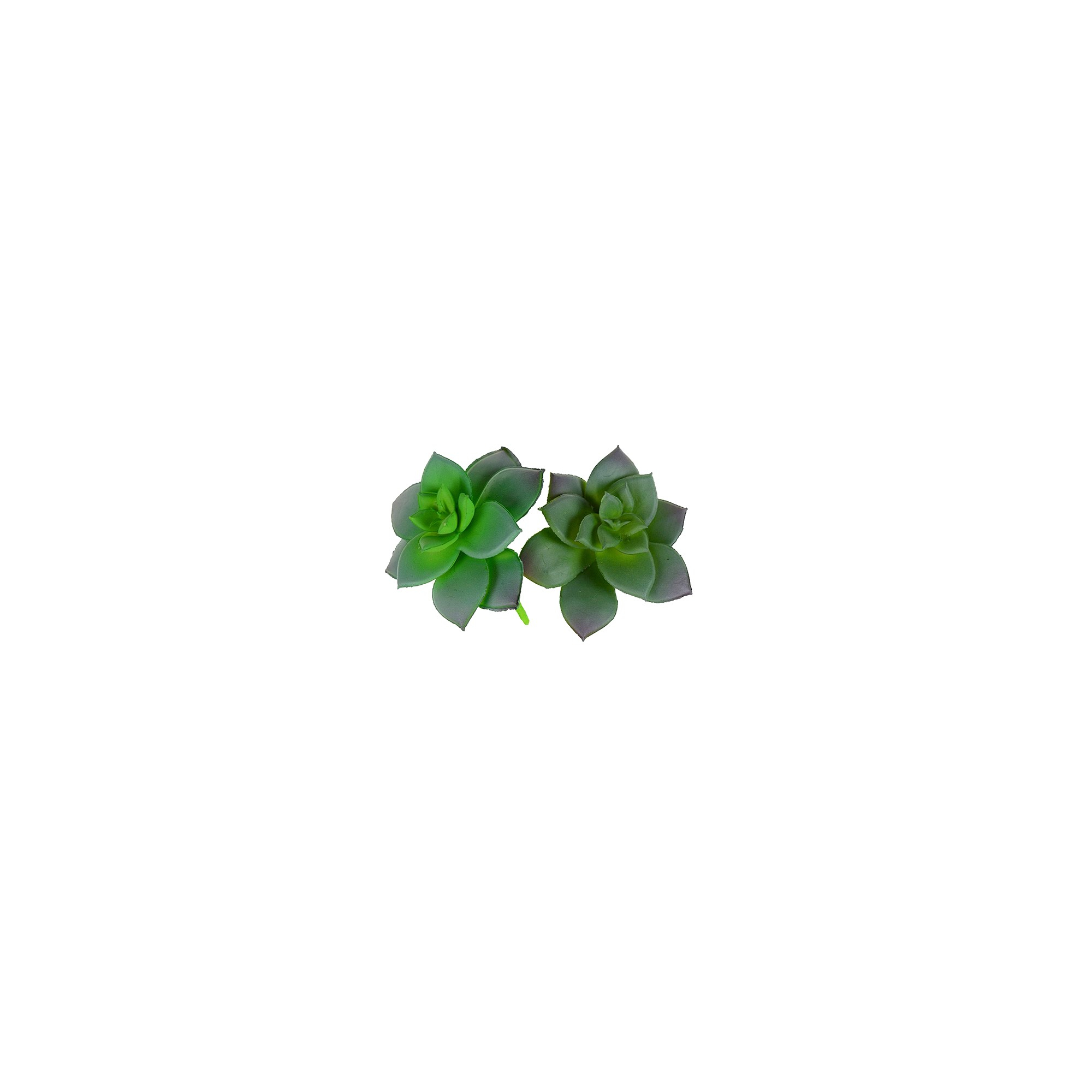Selyemvirág pozsgás 10*7cm több szín