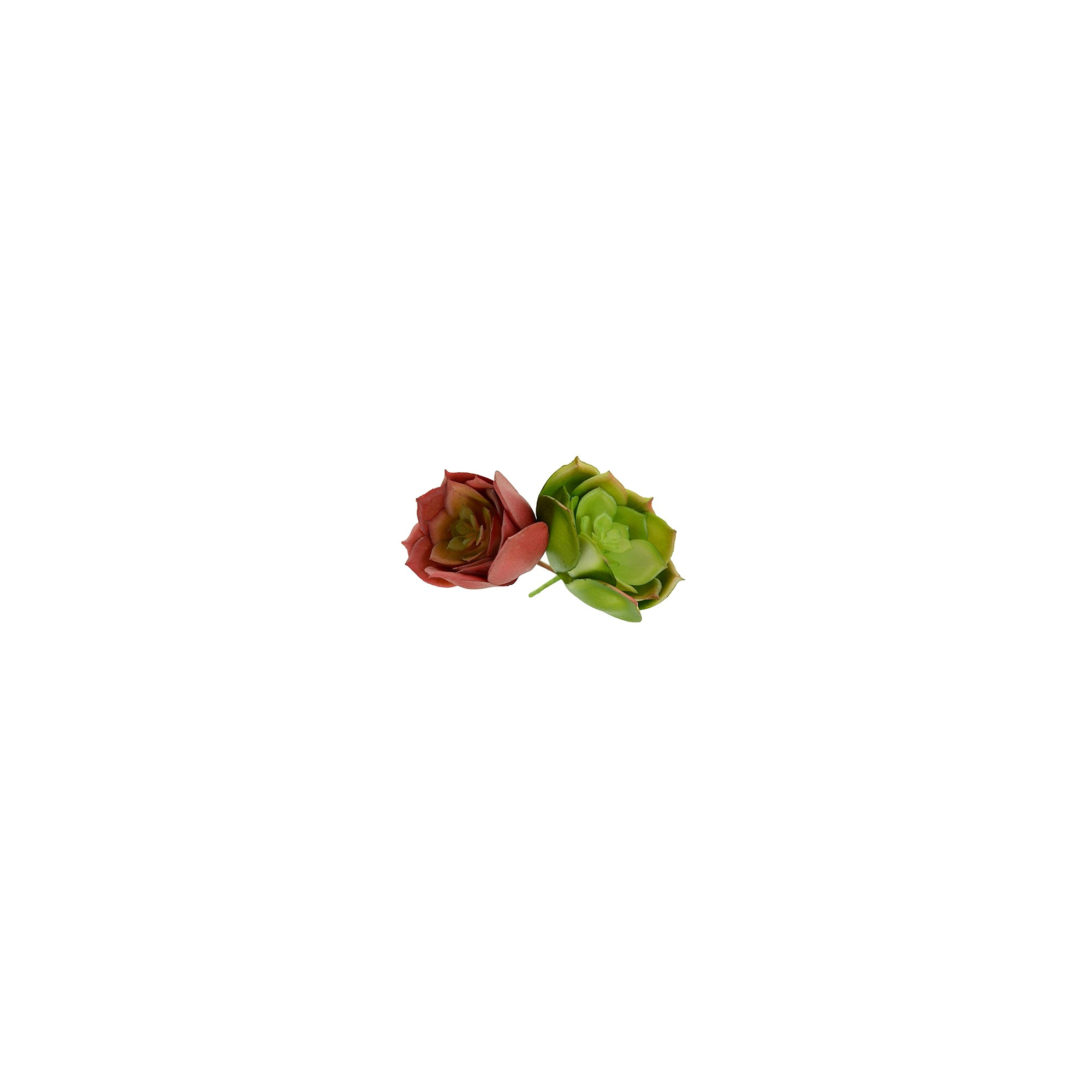 Műnövény pozsgás 7*4cm több szín
