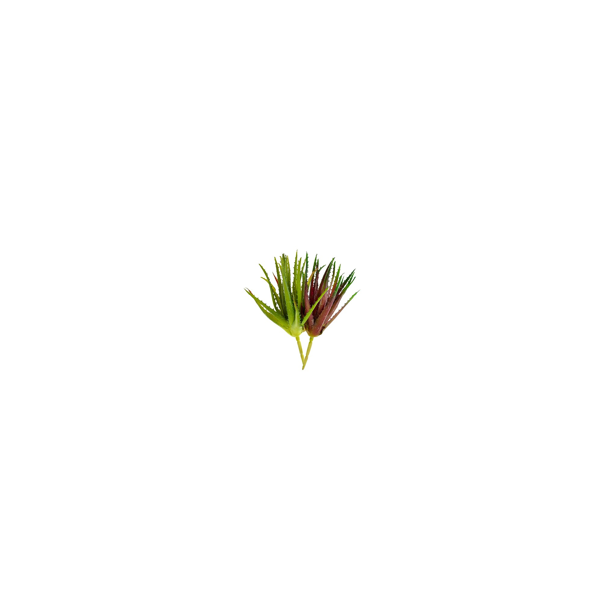 Műnövény pozsgás Aloe 25cm 2 szín