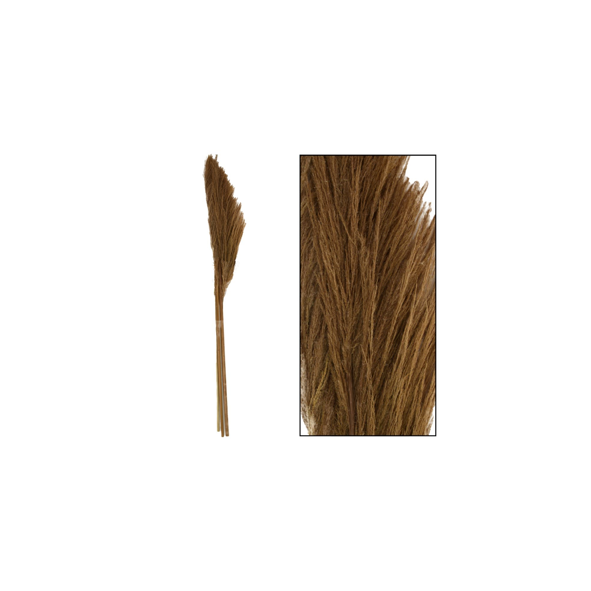 Pampafű 160cm s/3 natúr
