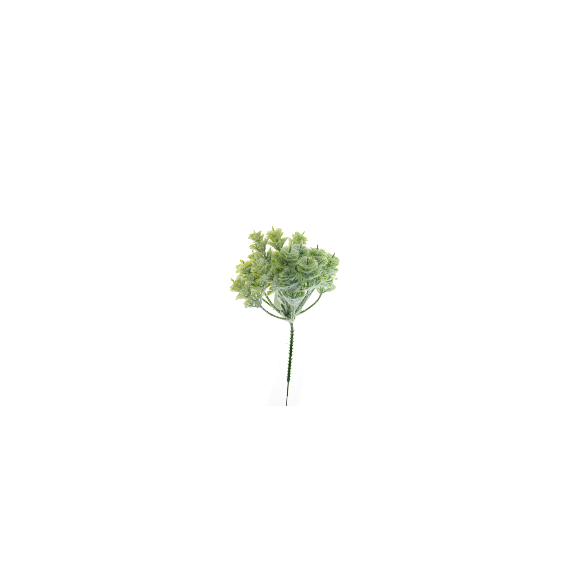 Pick 24cm havas zöld