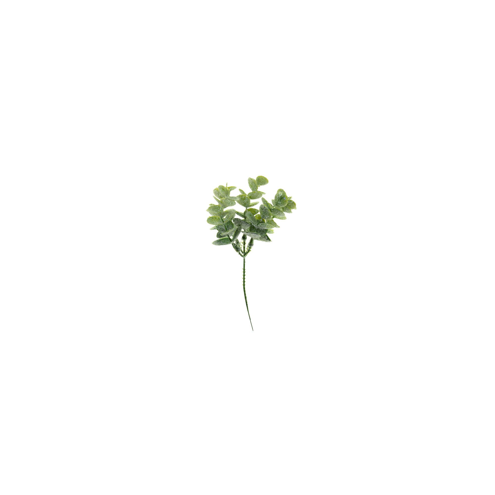 Pick ág eukaliptus 23CM bogyókkal zöld/fehér