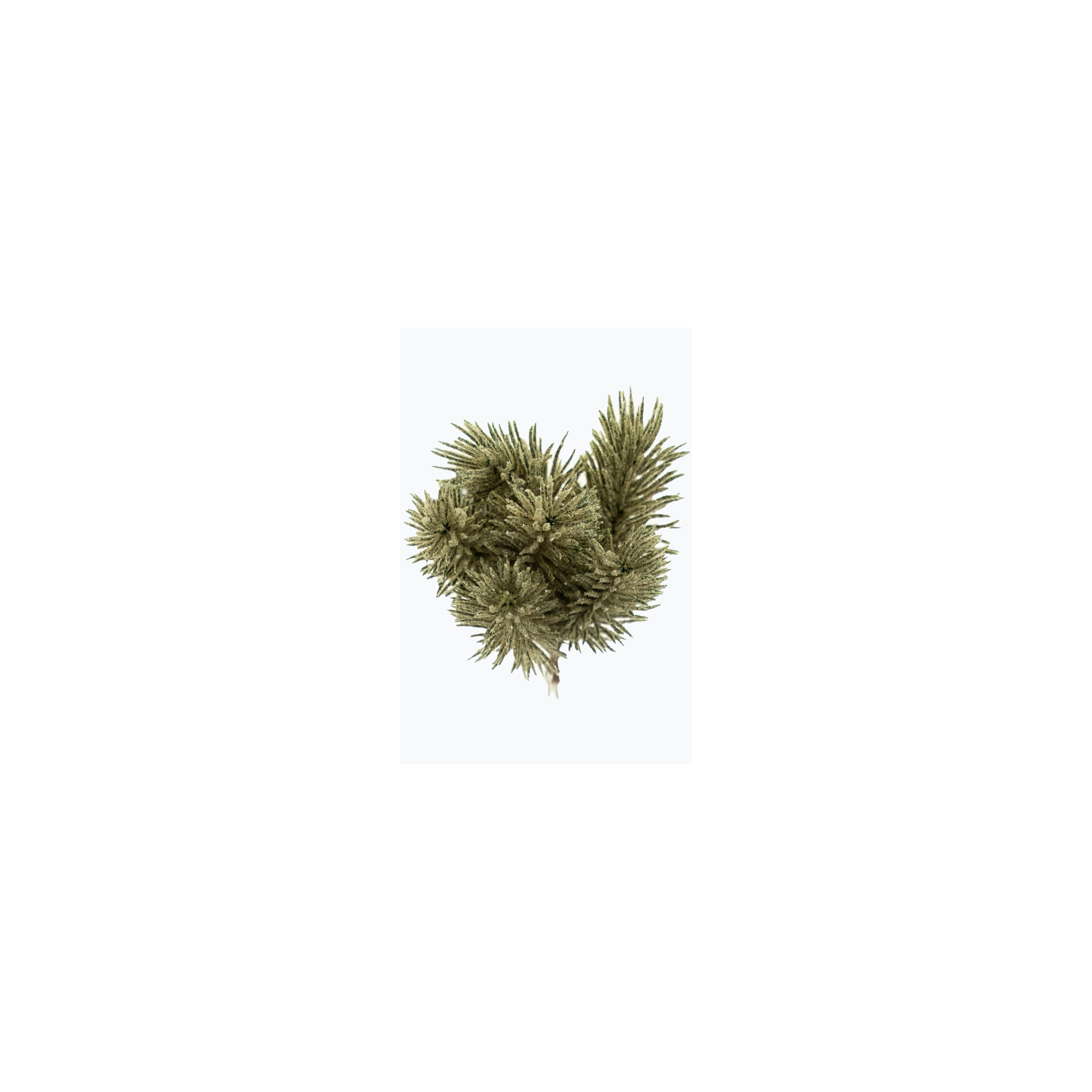 Pick fenyő ág 15cm pezsgő