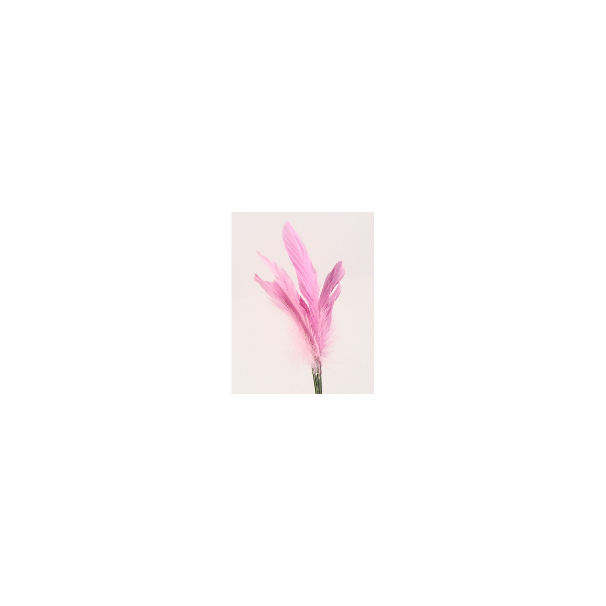 Pick- toll s/12 pink