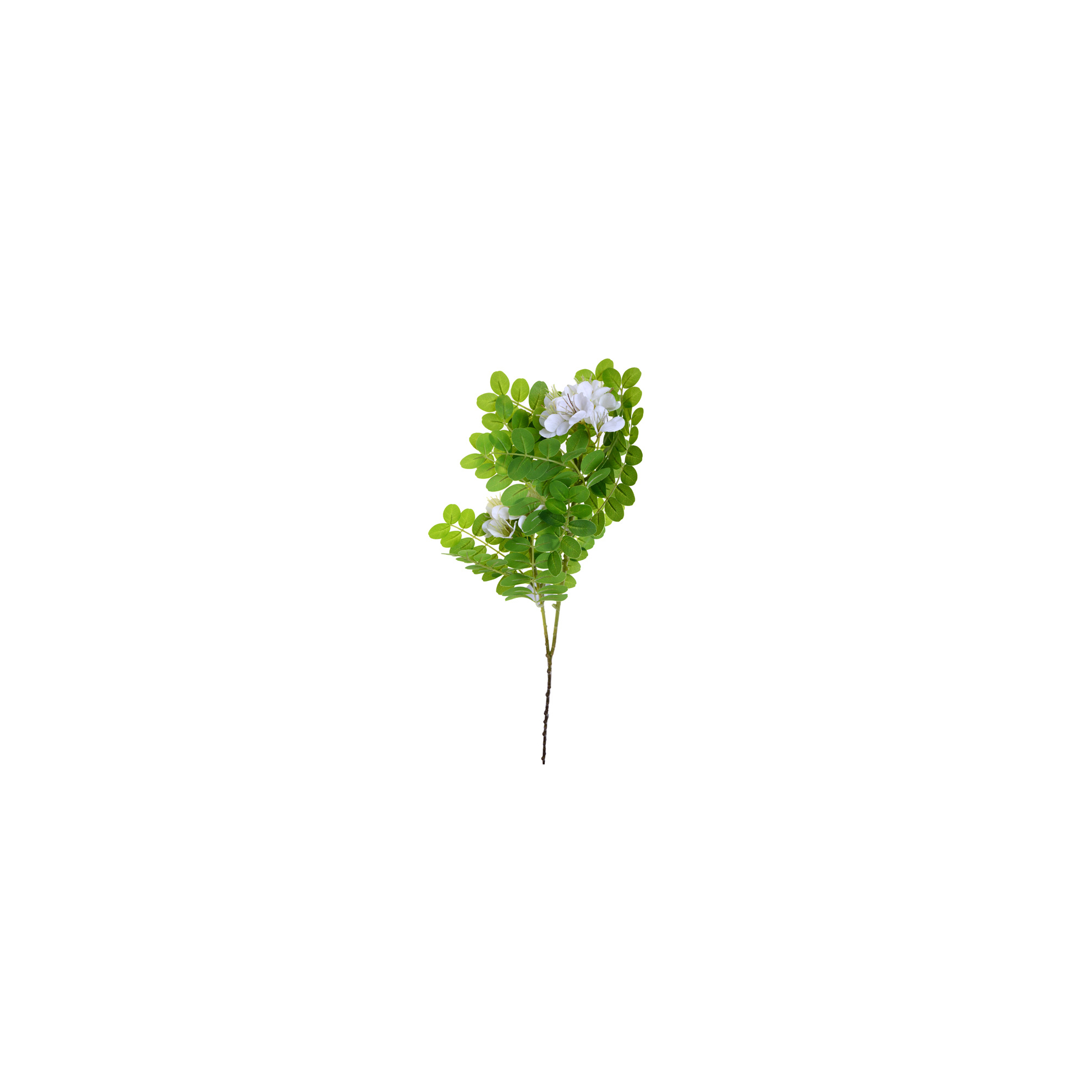 Selyemvirág akác ág 70CM 2virággal fehér