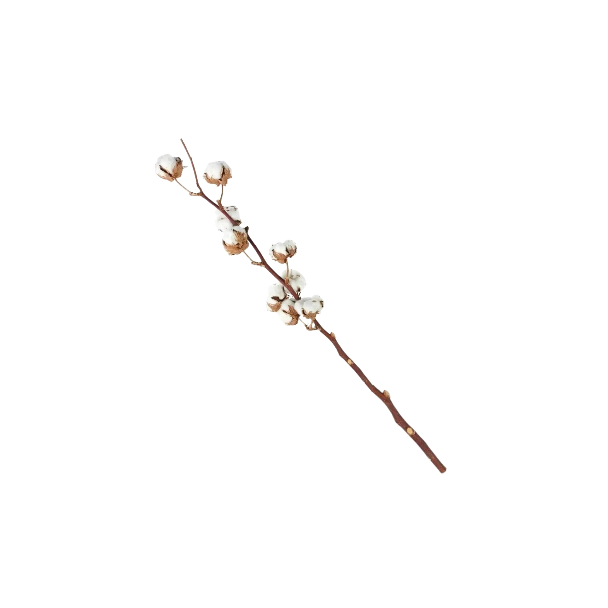 Selyemvirág barka 84cm fehér