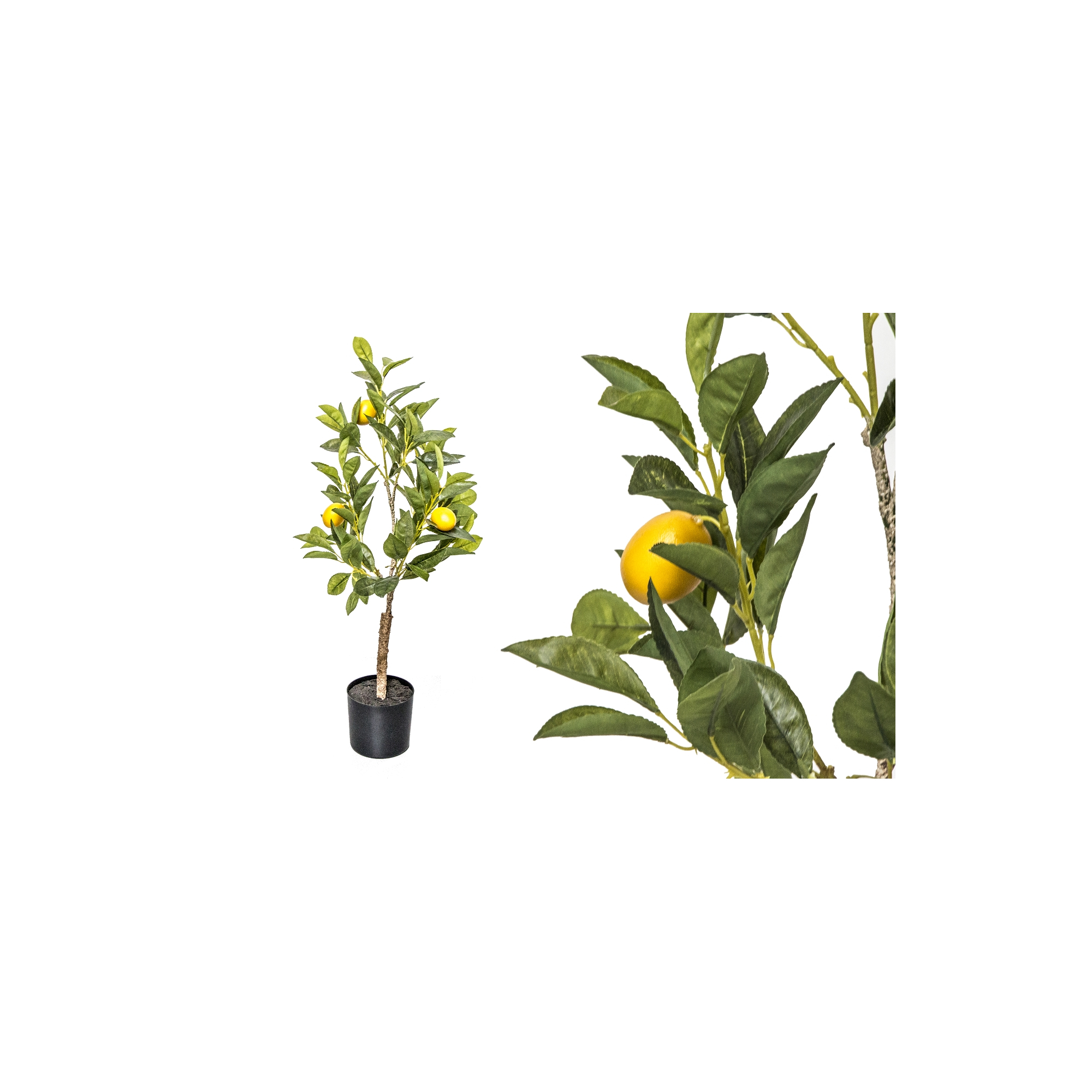 Selyemvirág citromfa cserepes 70cm zöld
