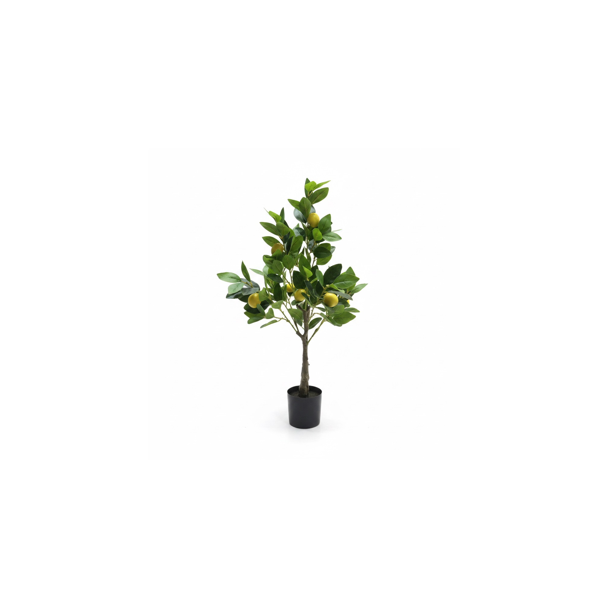 Selyemvirág citromfa cserepes 80cm zöld