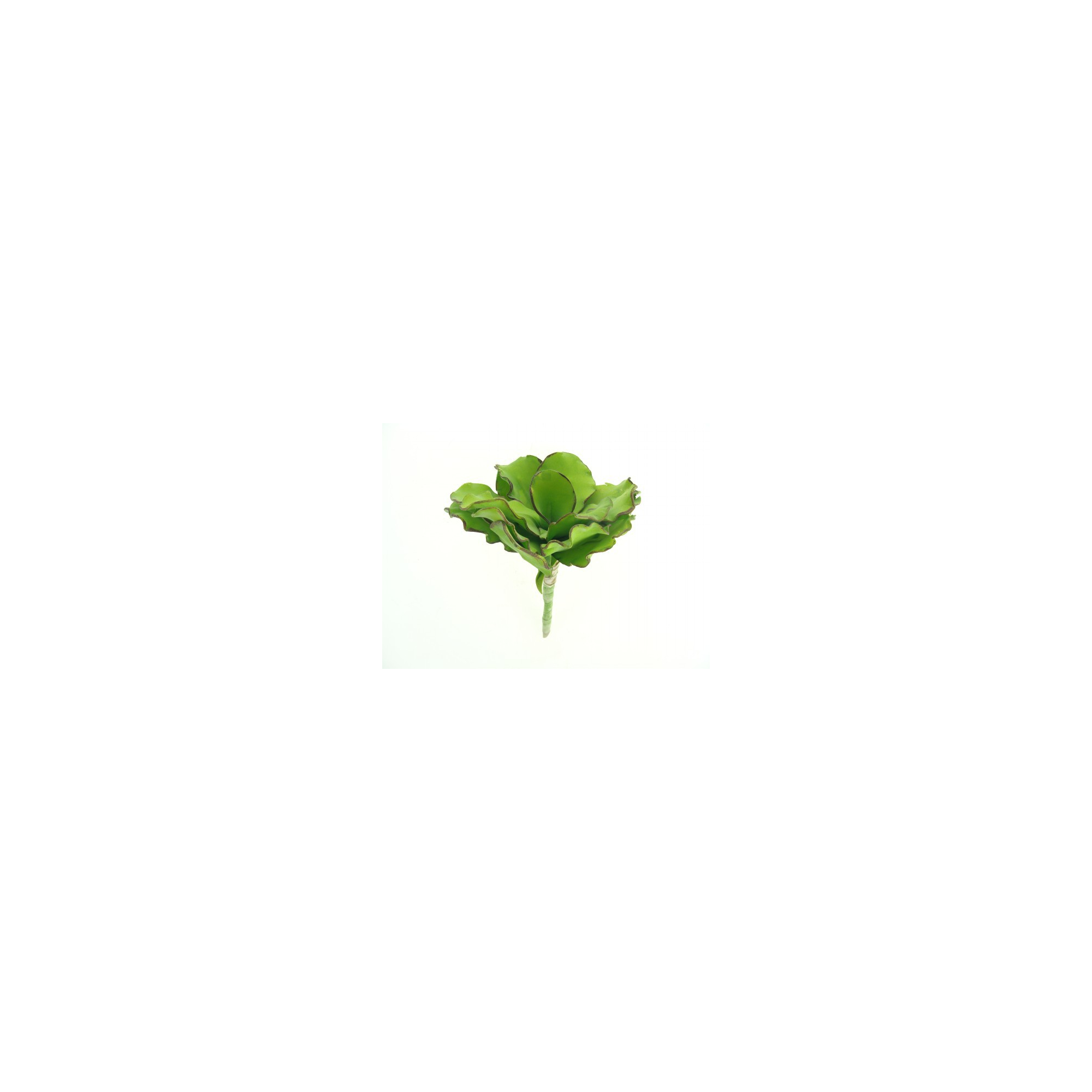 Selyemvirág echeveria gumi 18cm zöld