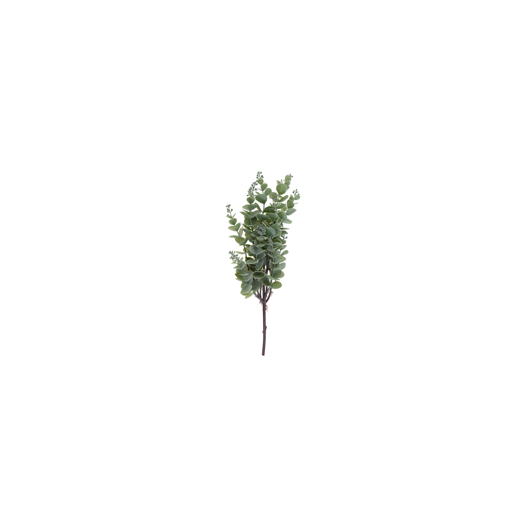 Selyemvirág eukaliptusz 45cm hamvas zöld
