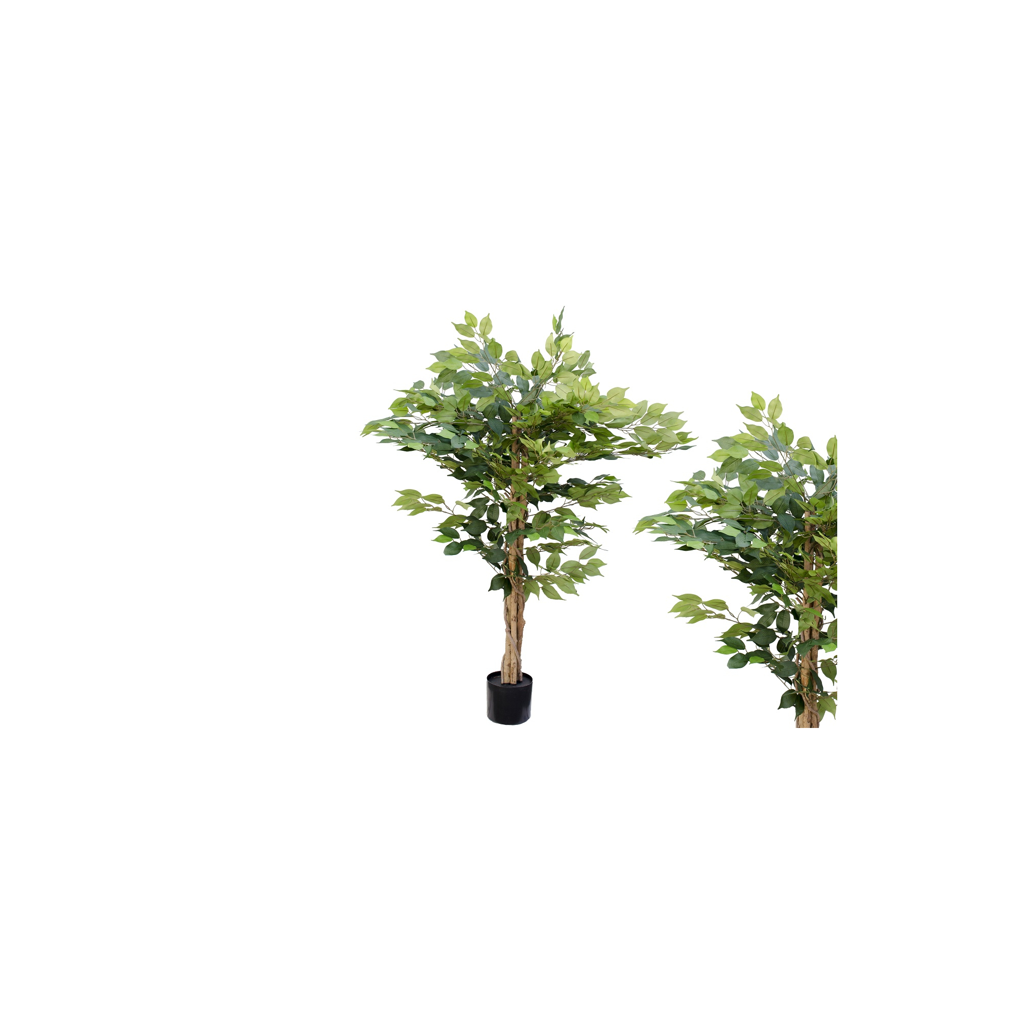 Selyemvirág fikusz cserepes 120cm zöld