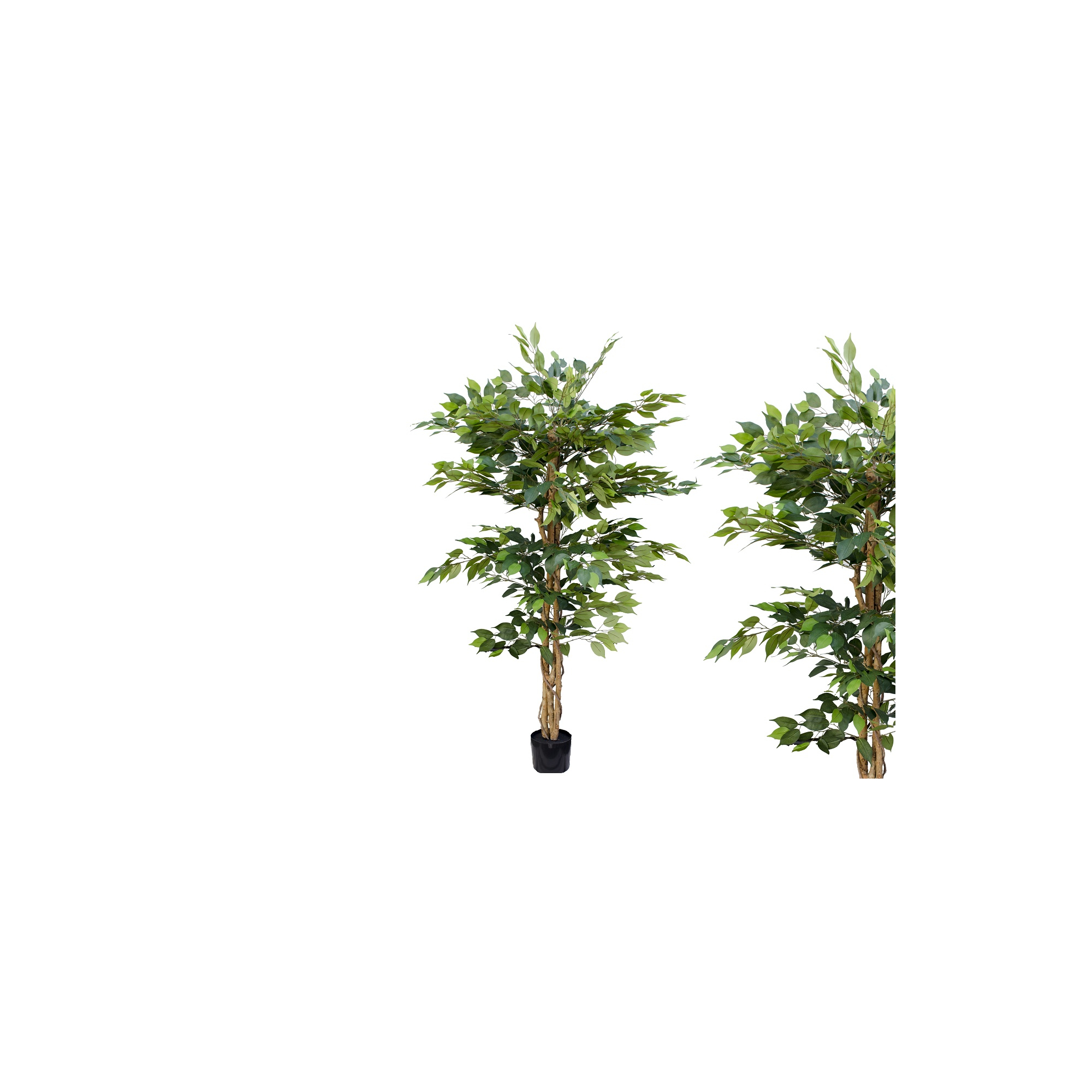 Selyemvirág fikusz cserepes 150cm zöld