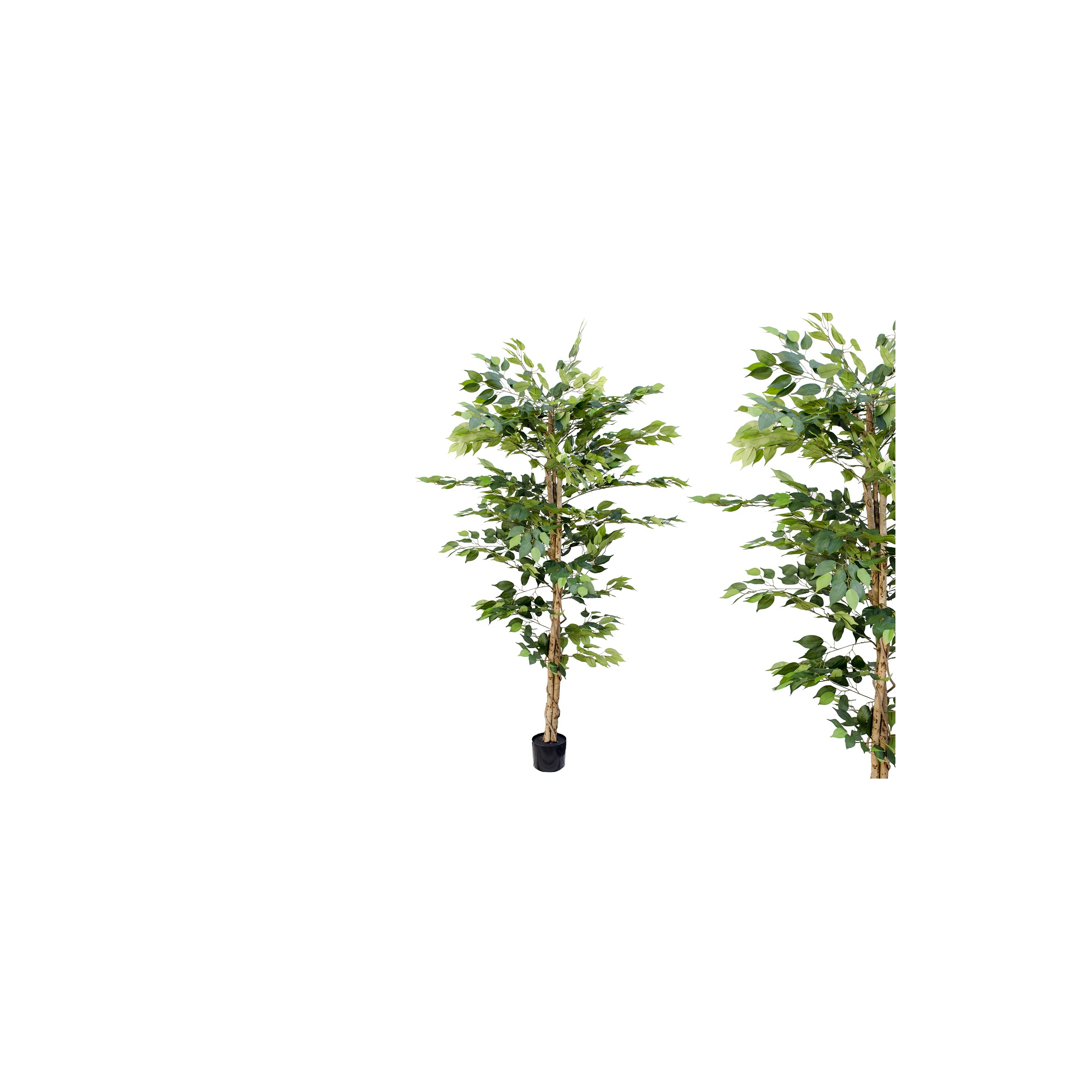 Selyemvirág fikusz cserepes 180cm zöld
