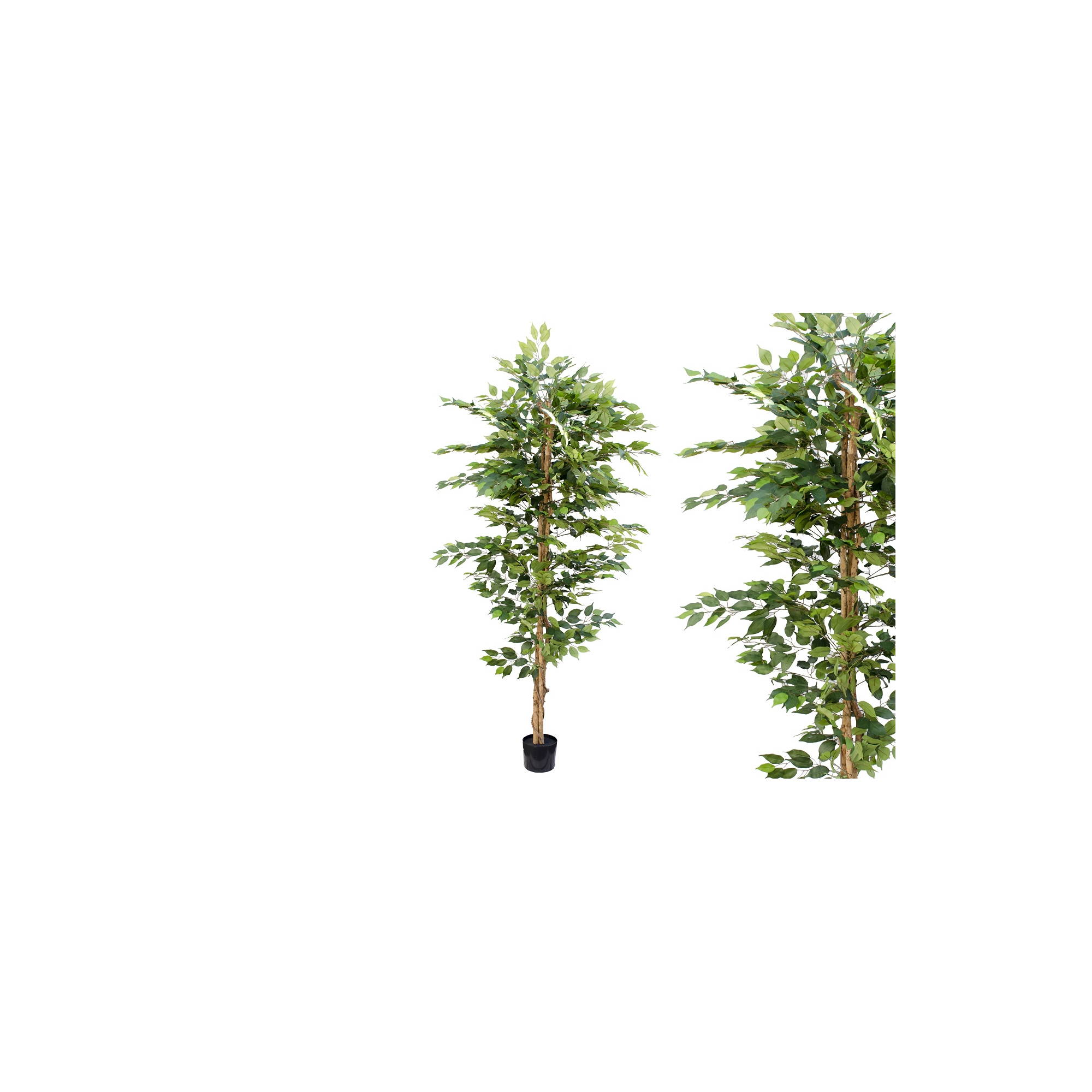 Selyemvirág fikusz cserepes 210cm zöld