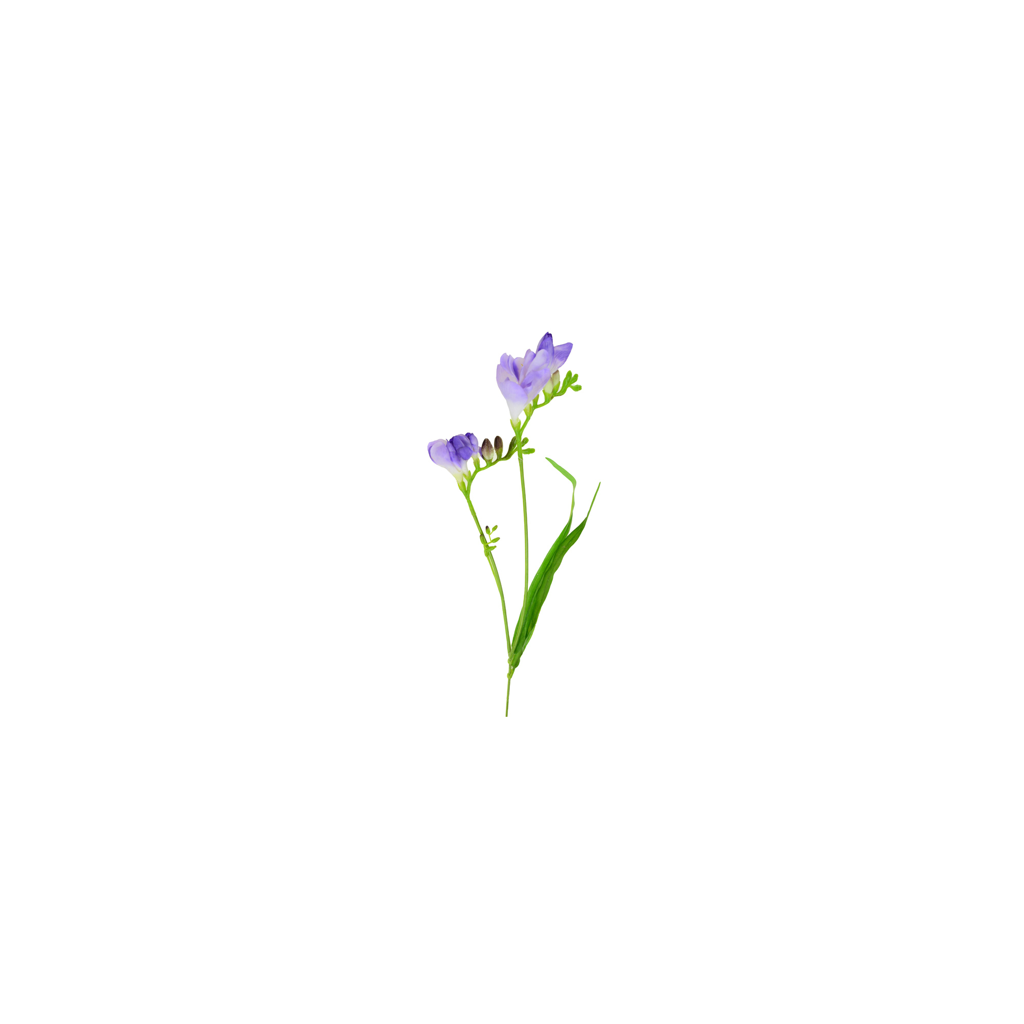 Selyemvirág frézia 61cm lila