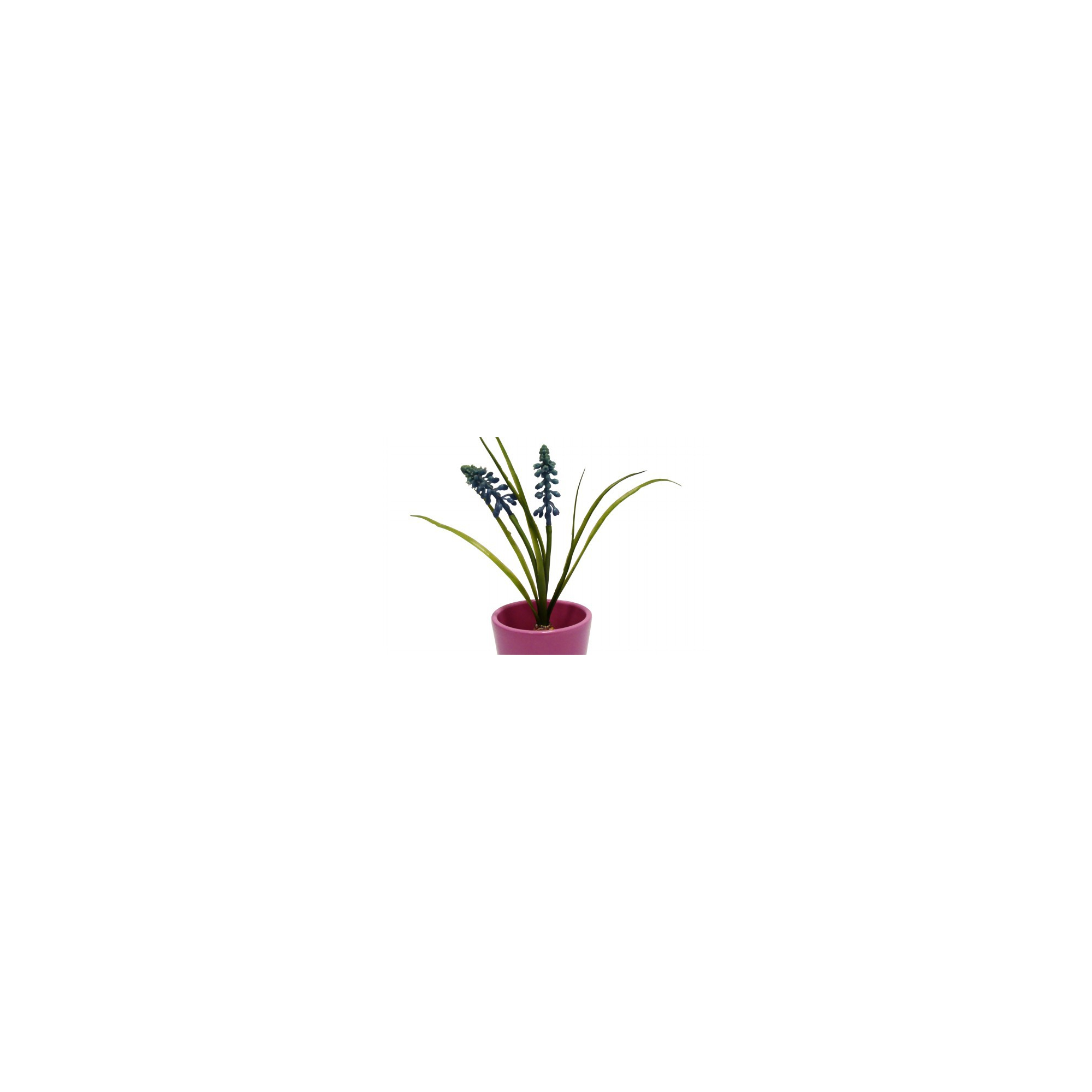 Selyemvirág hagymás muscari lila (gyöngyike)