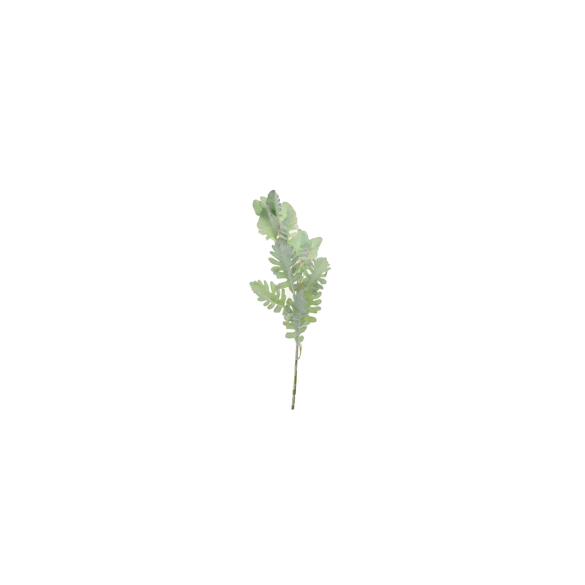Selyemvirág hamvaska levél 90cm zöld