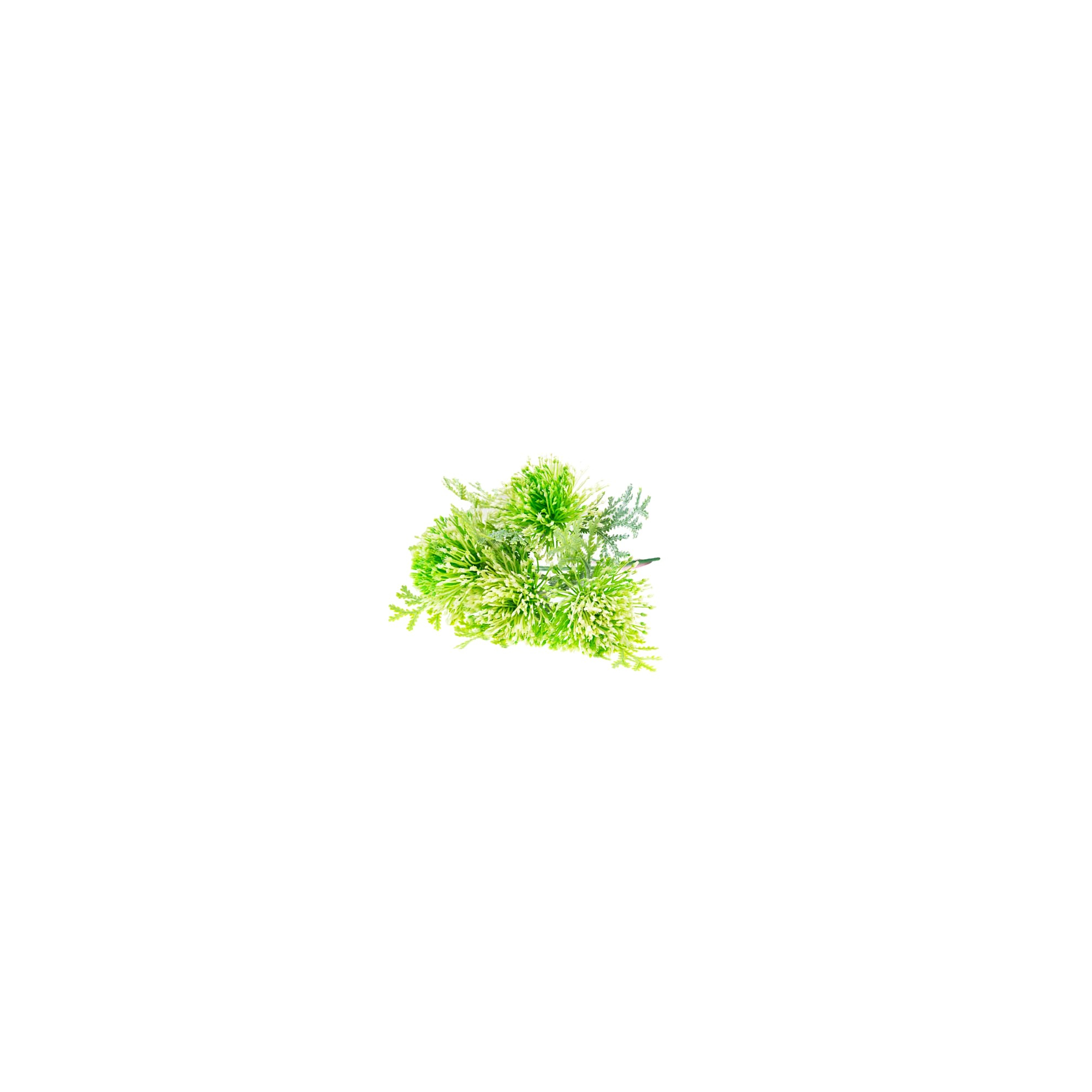 Selyemvirág leucospermum (tűpárna) csokor fehér