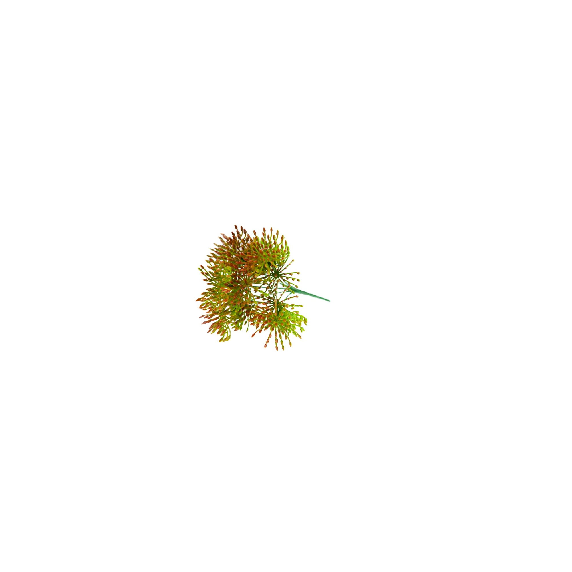 Selyemvirág leucospermum (tűpárna) csokor piros