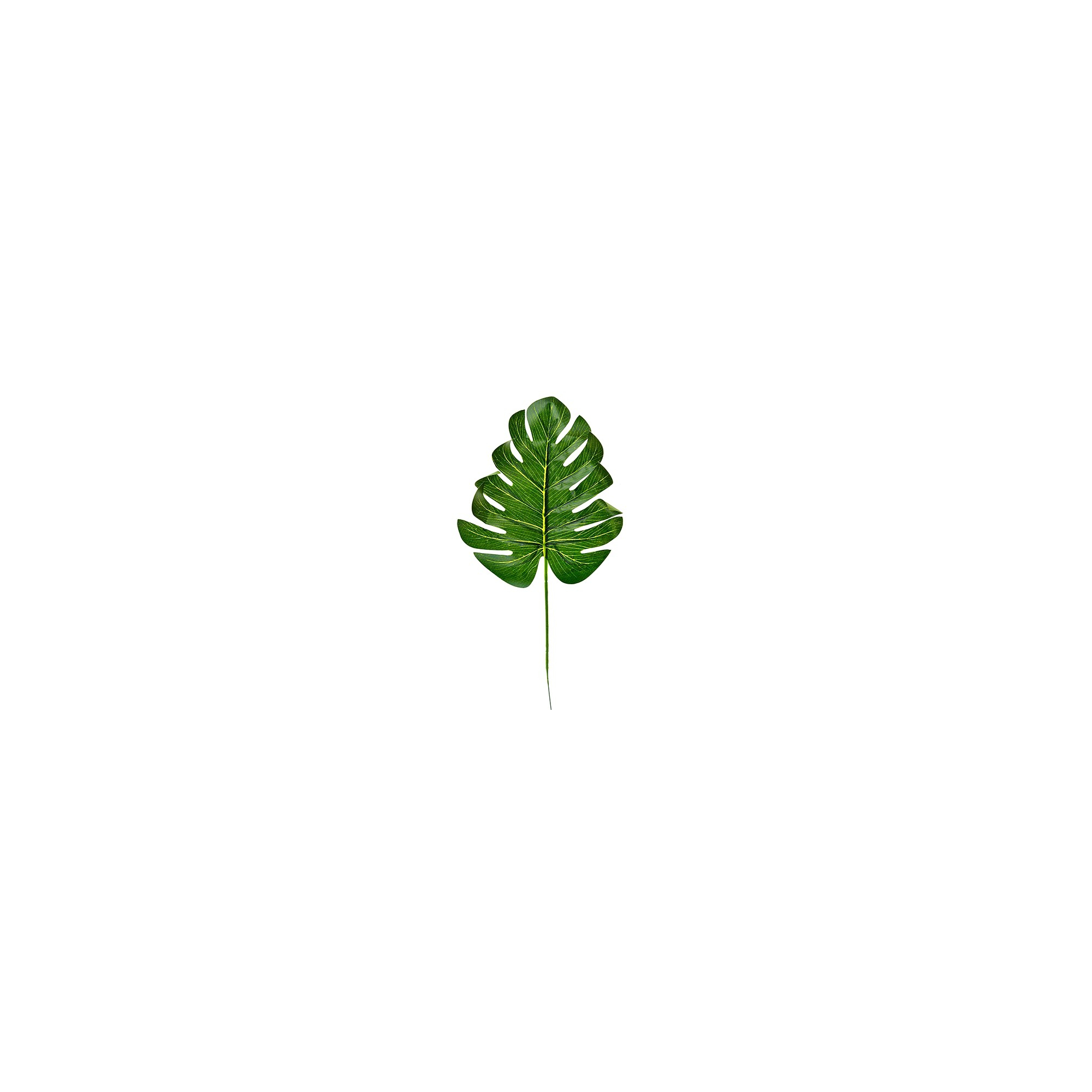 Selyemvirág levél Monstera 35-40cm zöld