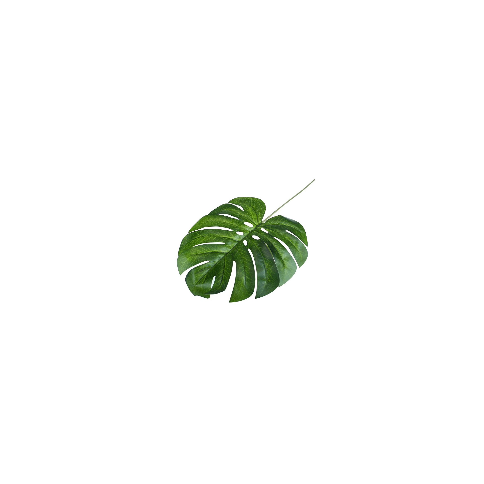 Selyemvirág levél Monstera 60-65cm zöld