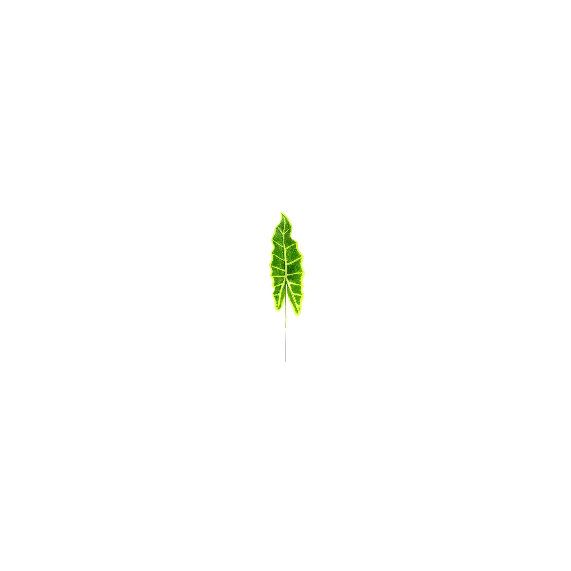 Selyemvirág alocasia levél 34*12 H47cm s/10 zöld
