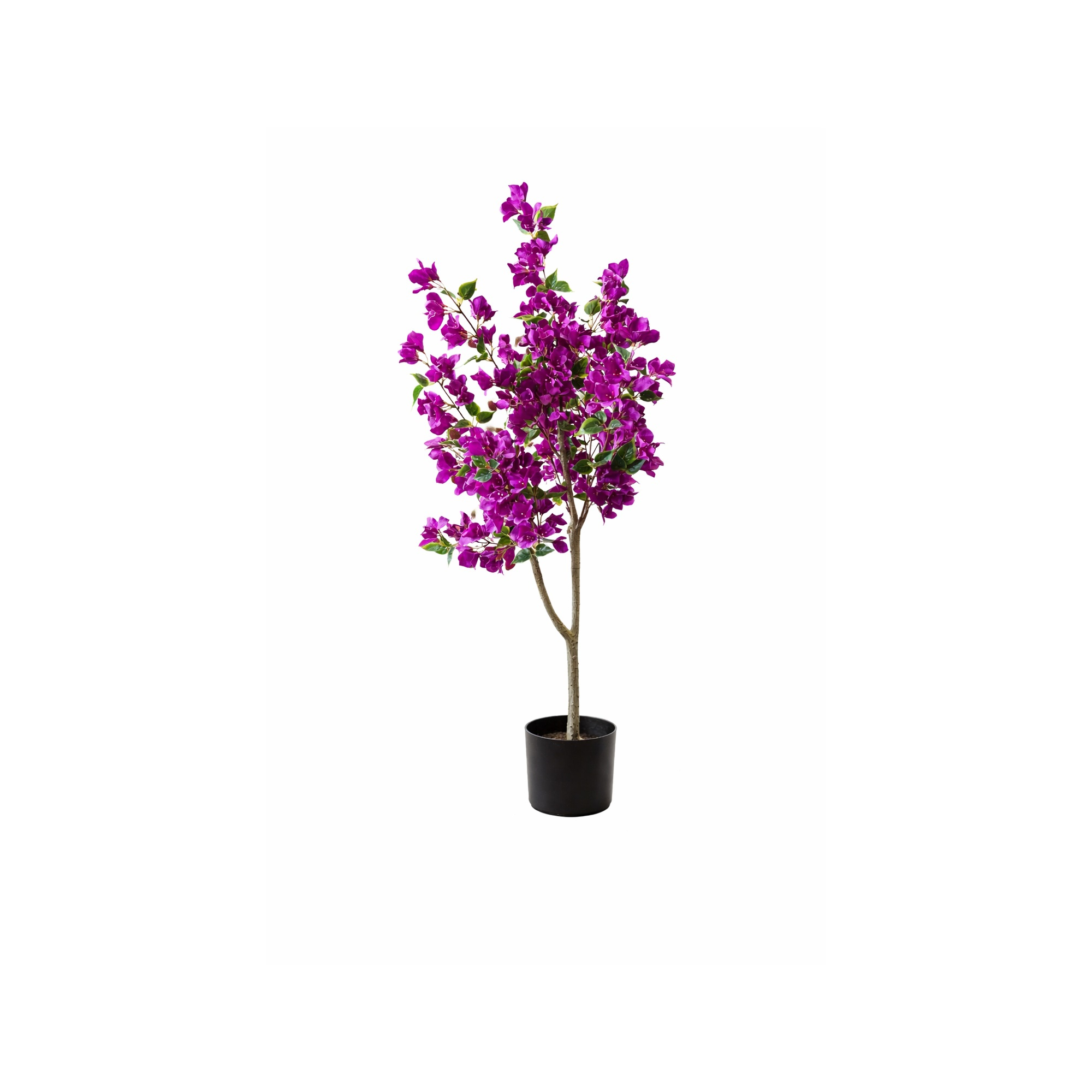 Selyemvirág murvafürt fa 120cm lila
