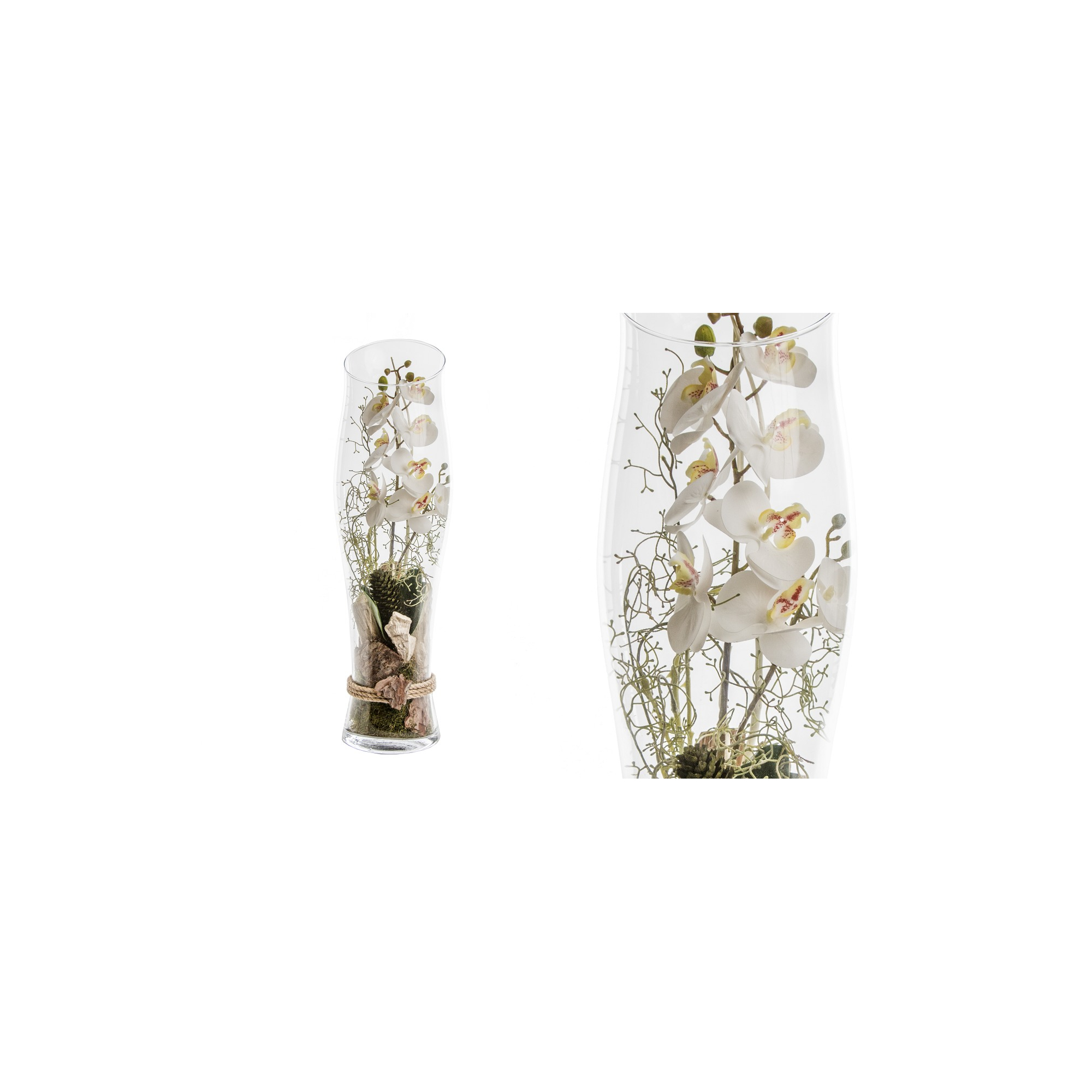 Selyemvirág Orchidea D18 H20 üveg hengerben fehér-bordó