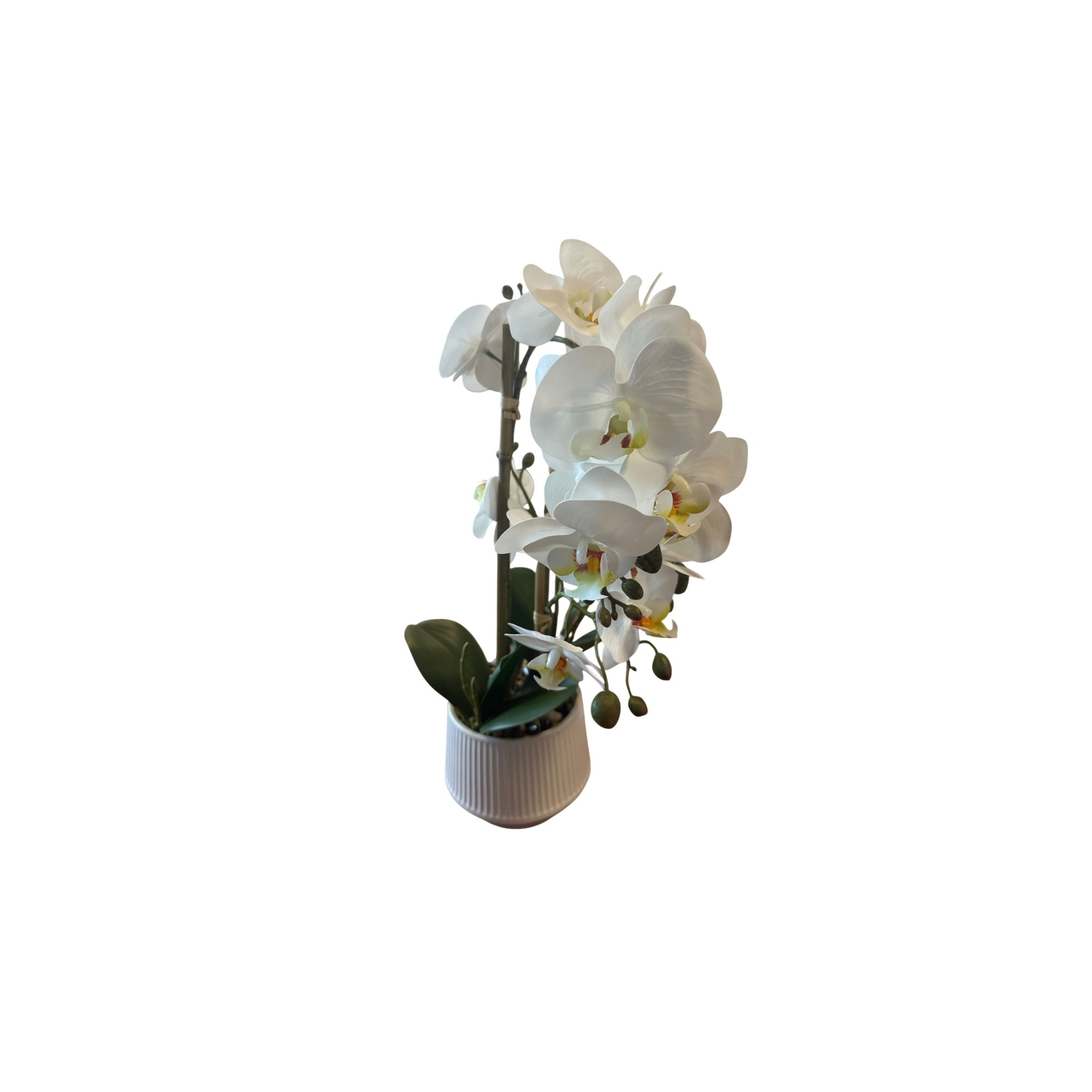Selyemvirág orchidea kaspóban 45cm fehér/rózsaszín