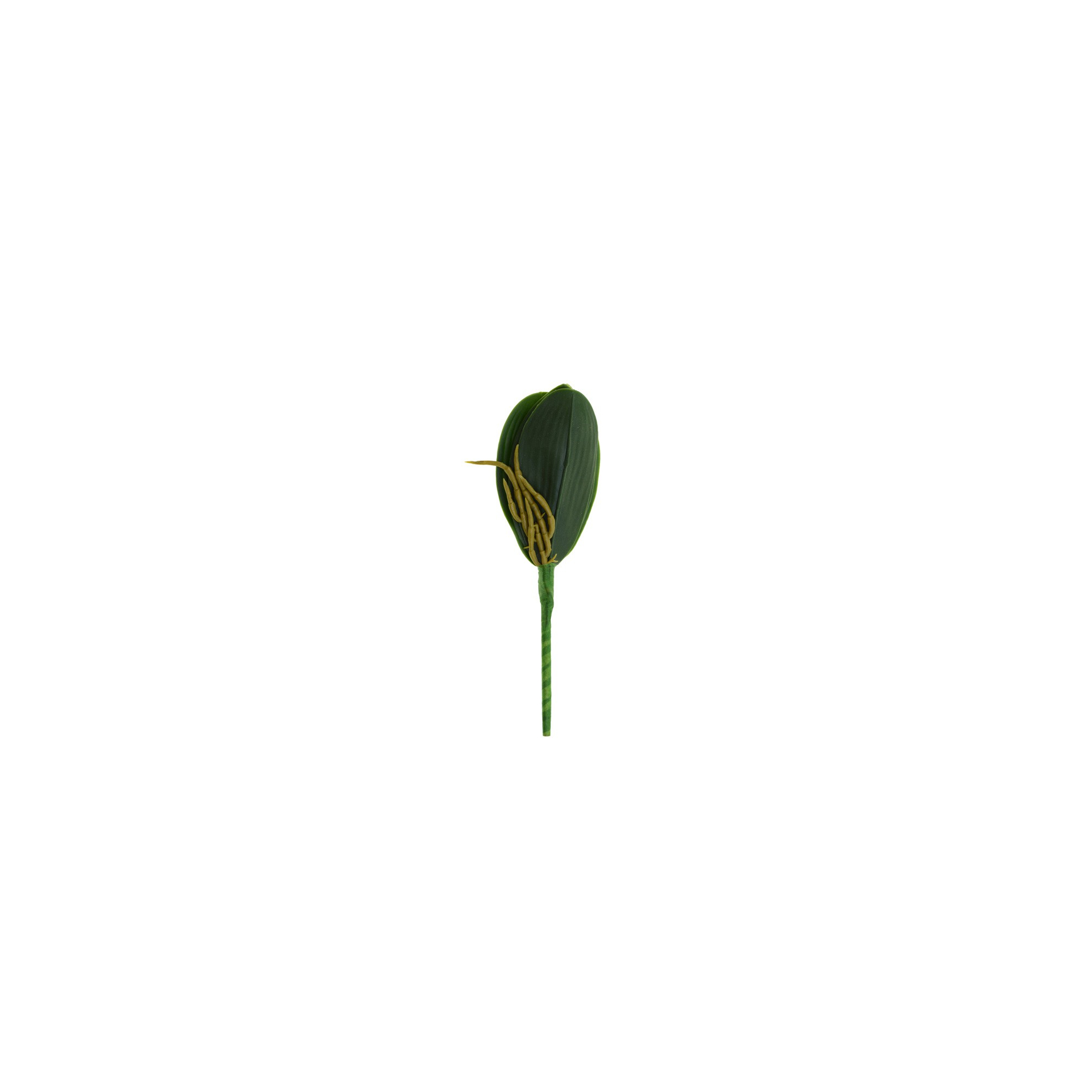 Selyemvirág orchidealevél 25cm zöld