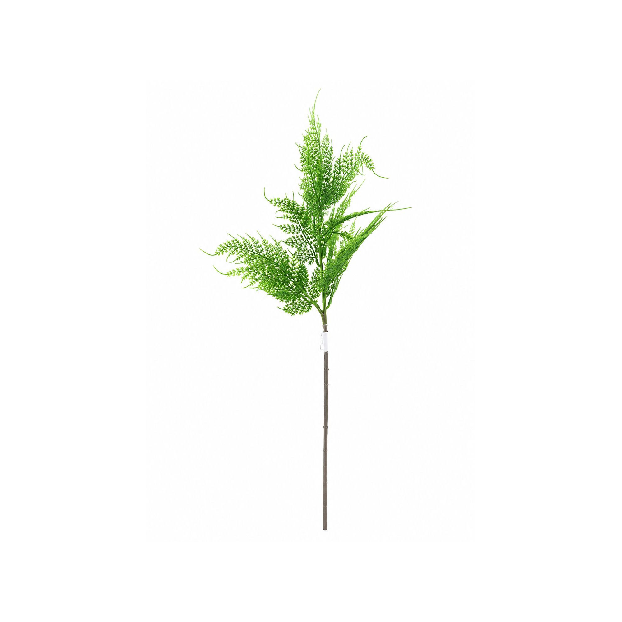 Selyemvirág páfrány 62cm zöld
