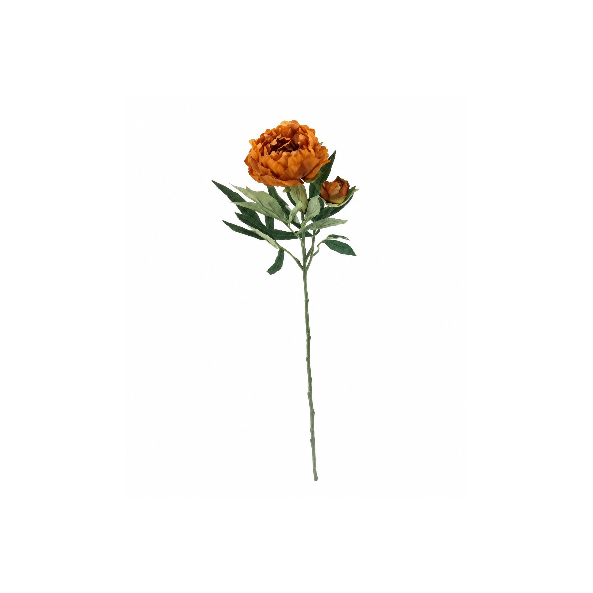 Selyemvirág peónia szál 26cm arany
