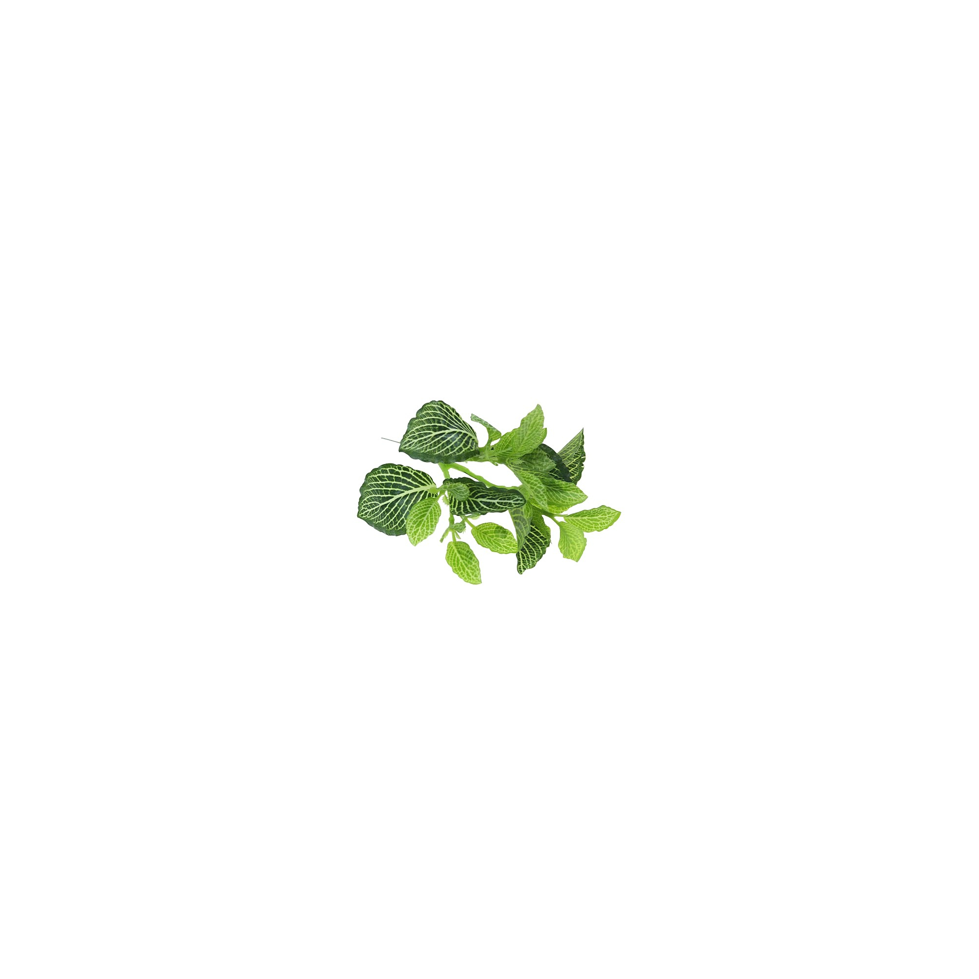 Selyemvirág peperomia/epipremnum 28cm zöld