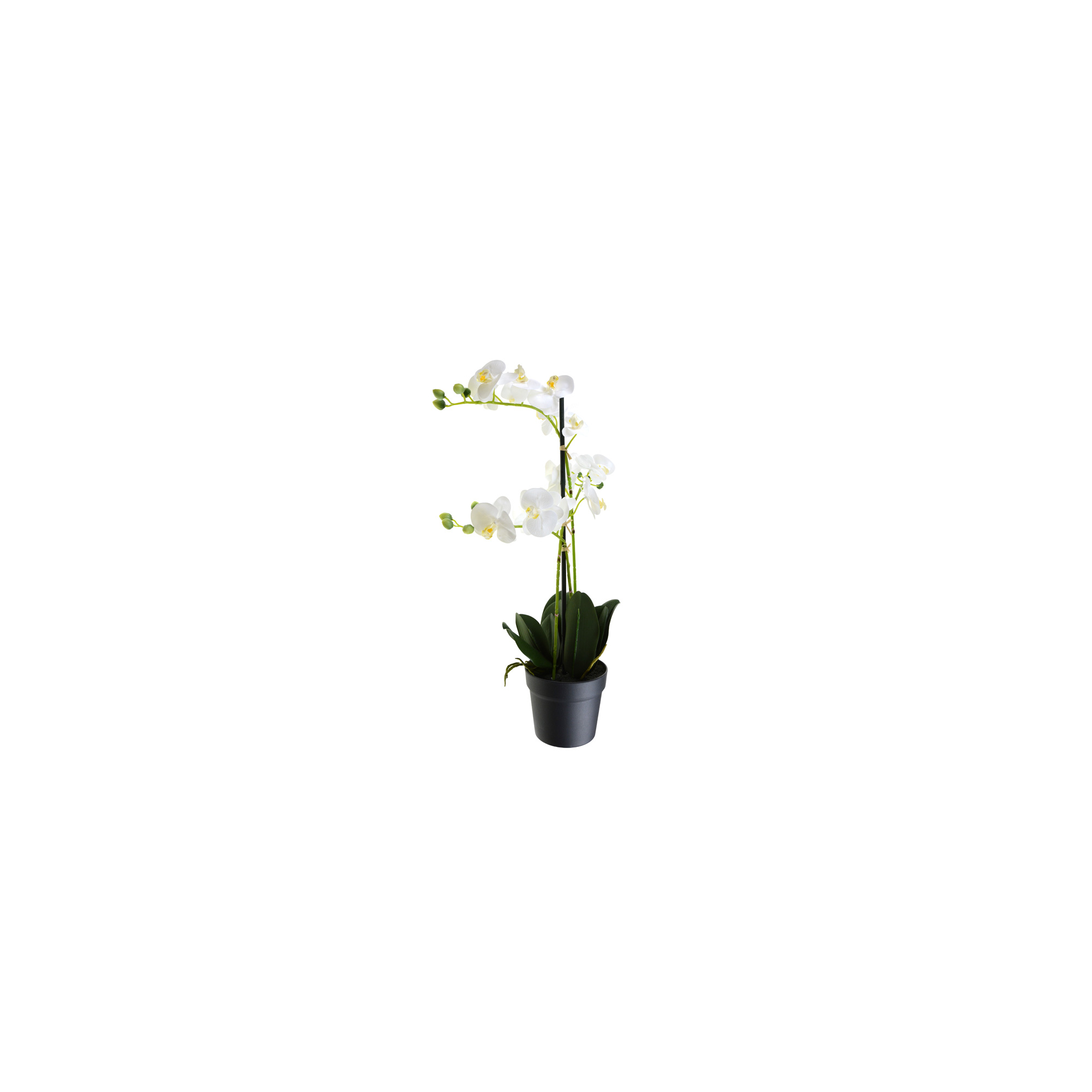Selyemvirág Phalaenopsis 65cm 3ág cserepes fehér