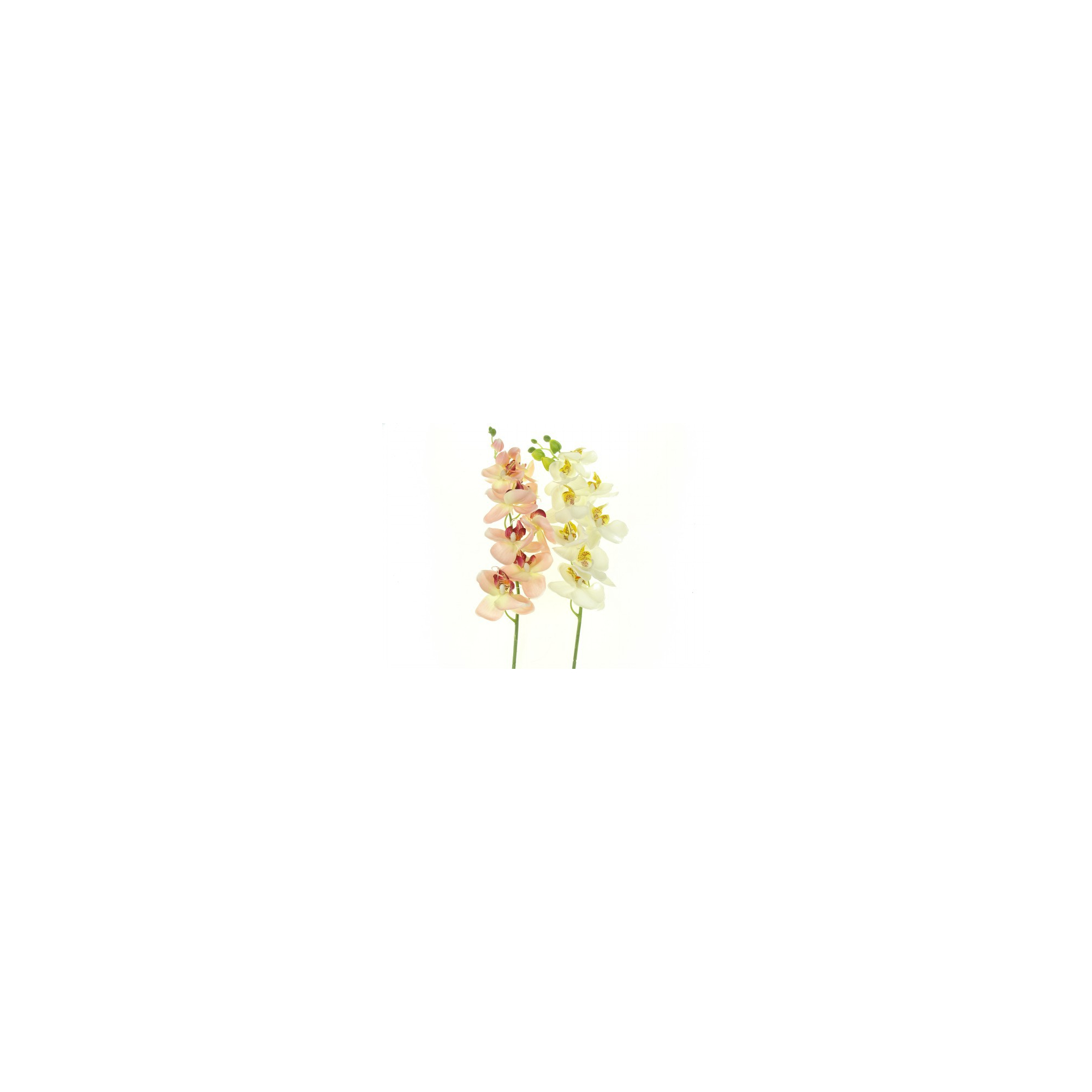 Selyemvirág phalaenopsis 78cm 1szálas több szín