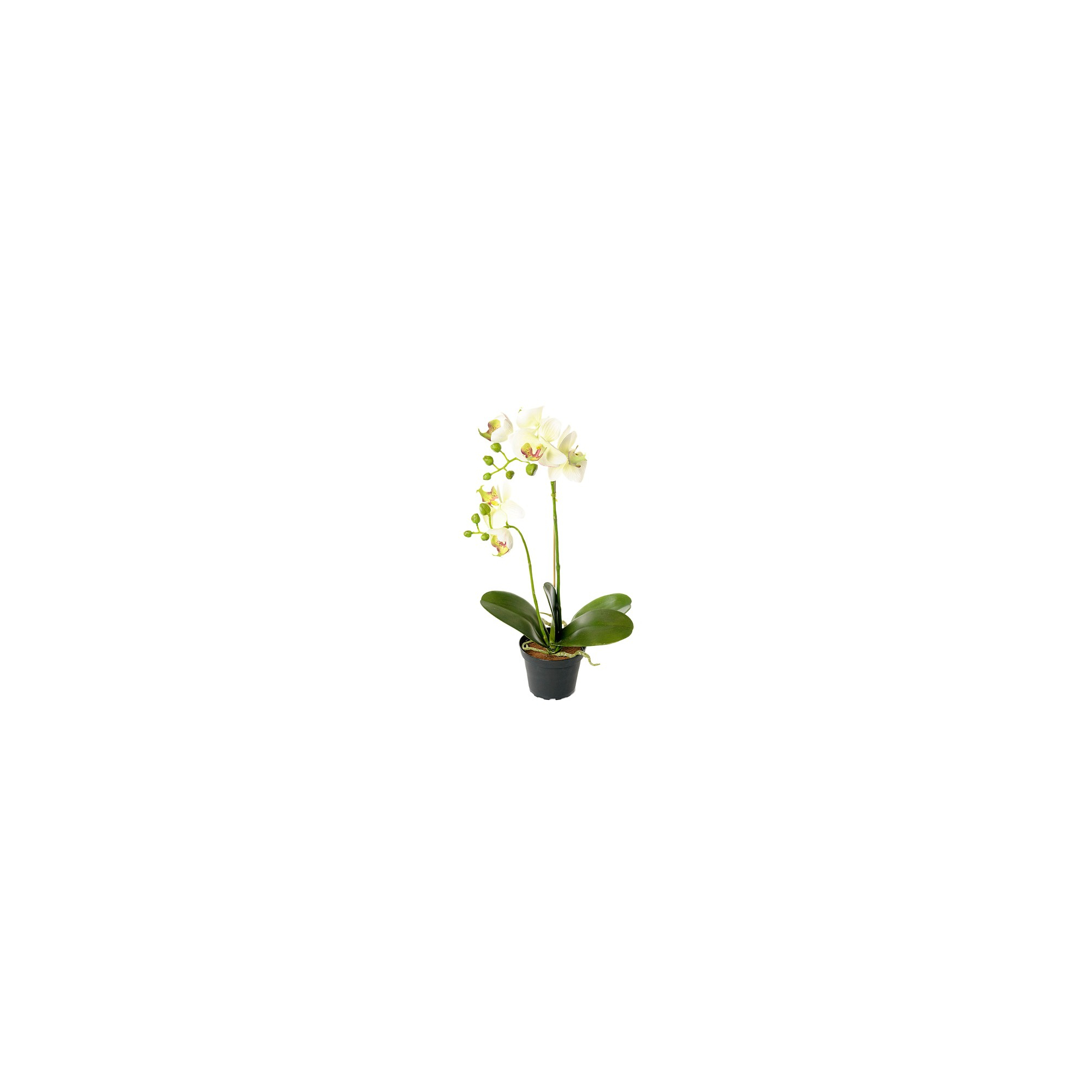 Selyemvirág Phalaenopsis cserépben 45cm tört fehér