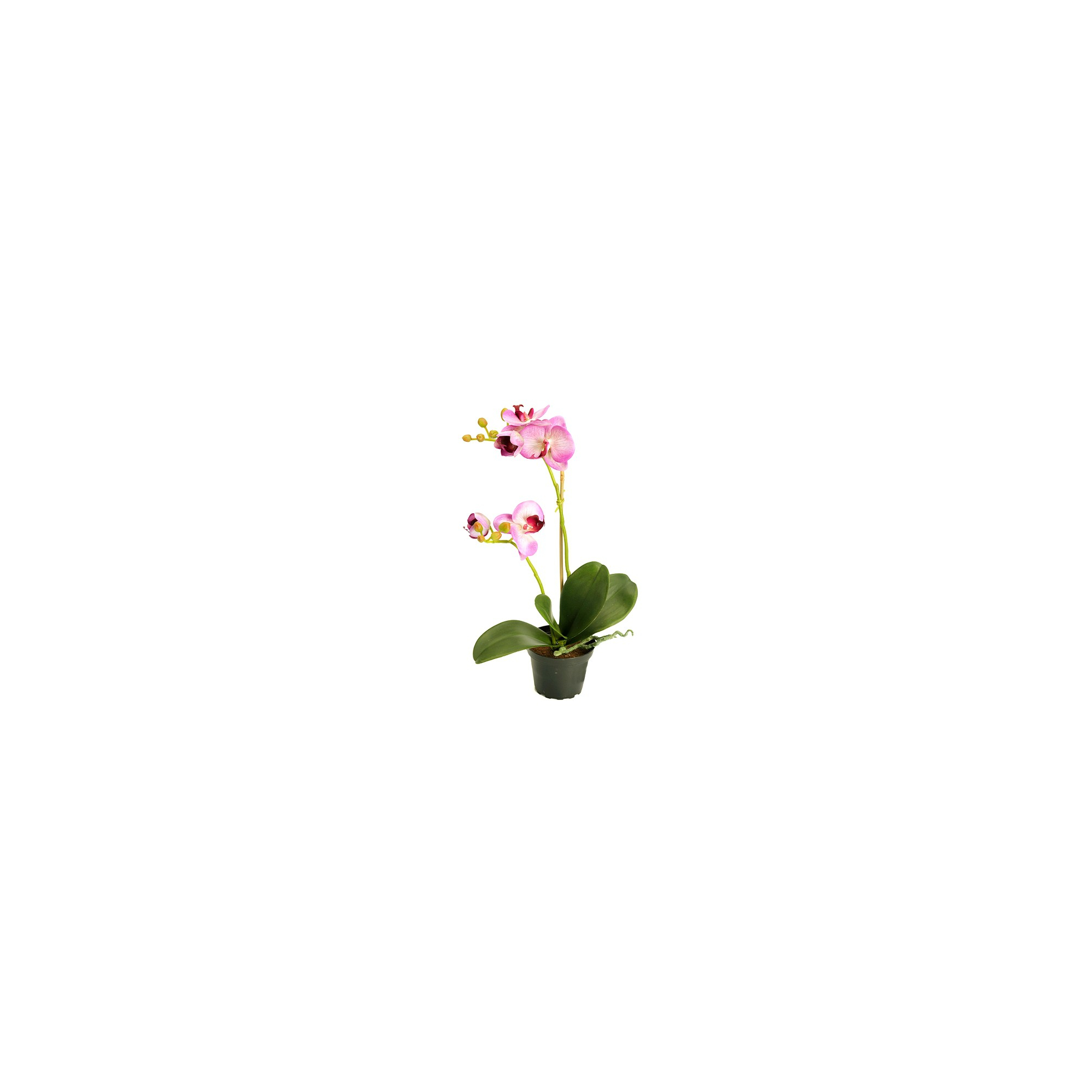 Selyemvirág Phalaenopsis cserépben 45cm v.lila